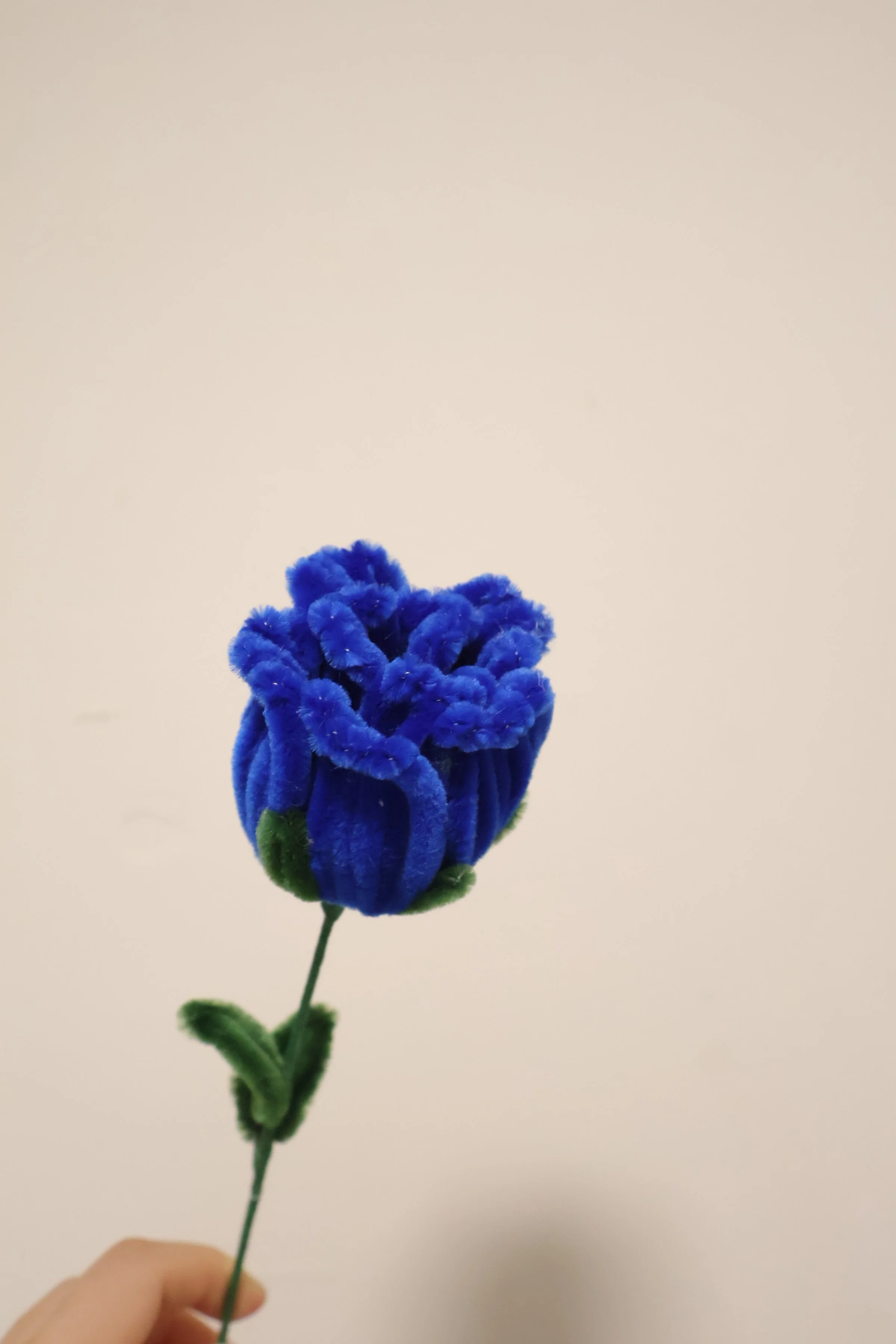 Rose - Navy Blue.JPG