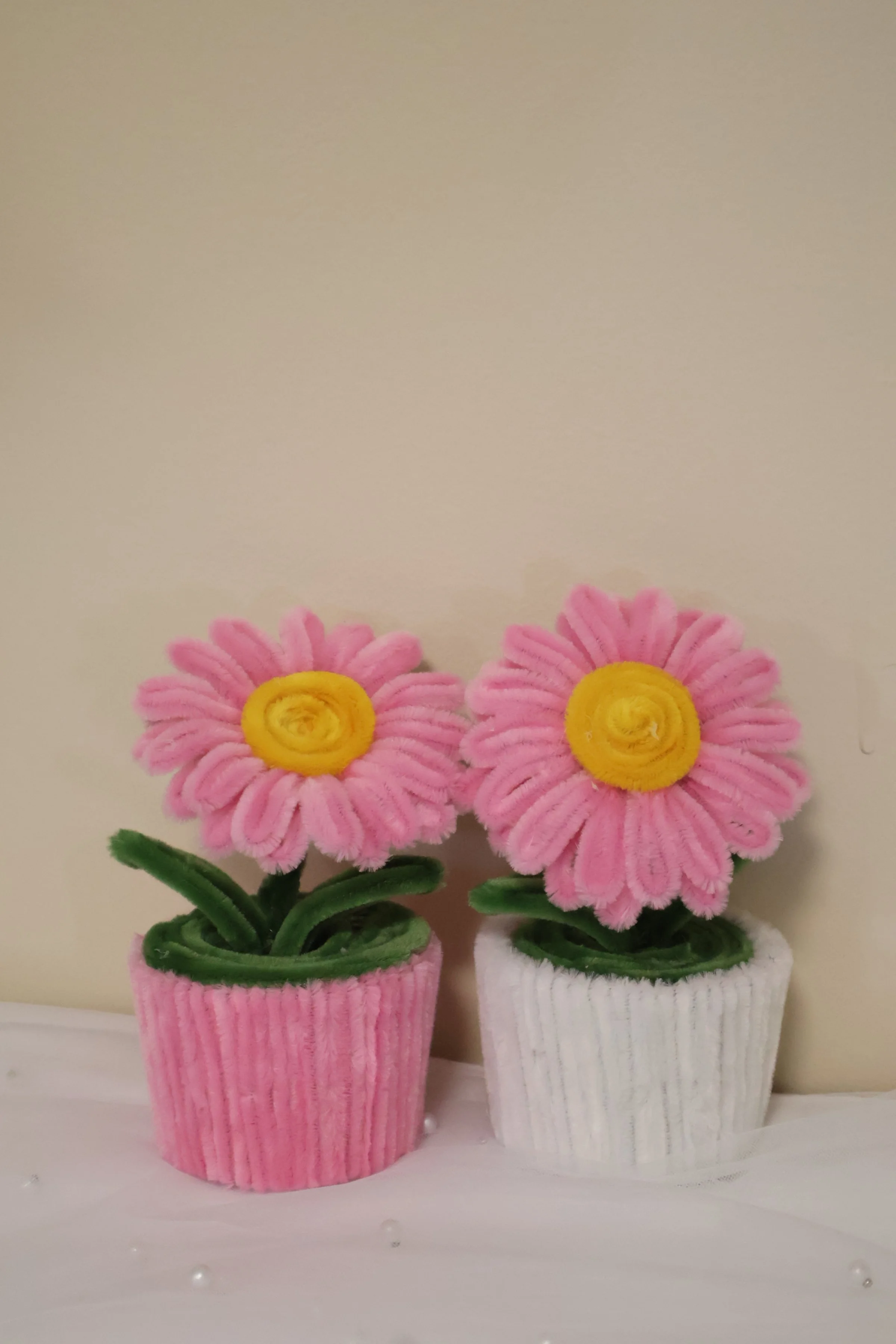 Pink Daisy Flower Pot .JPG