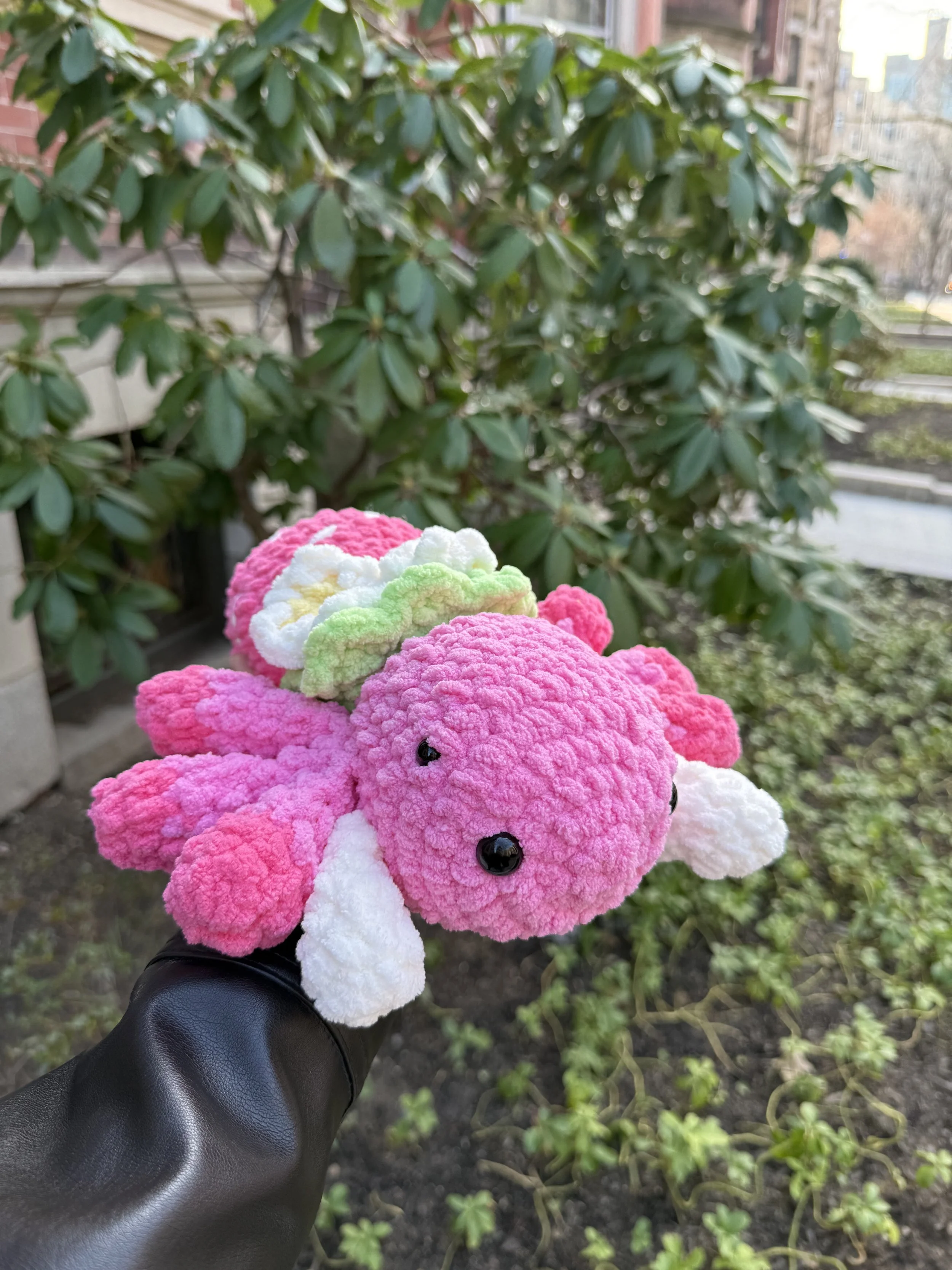 Stella the Strawberry Spider.jpeg