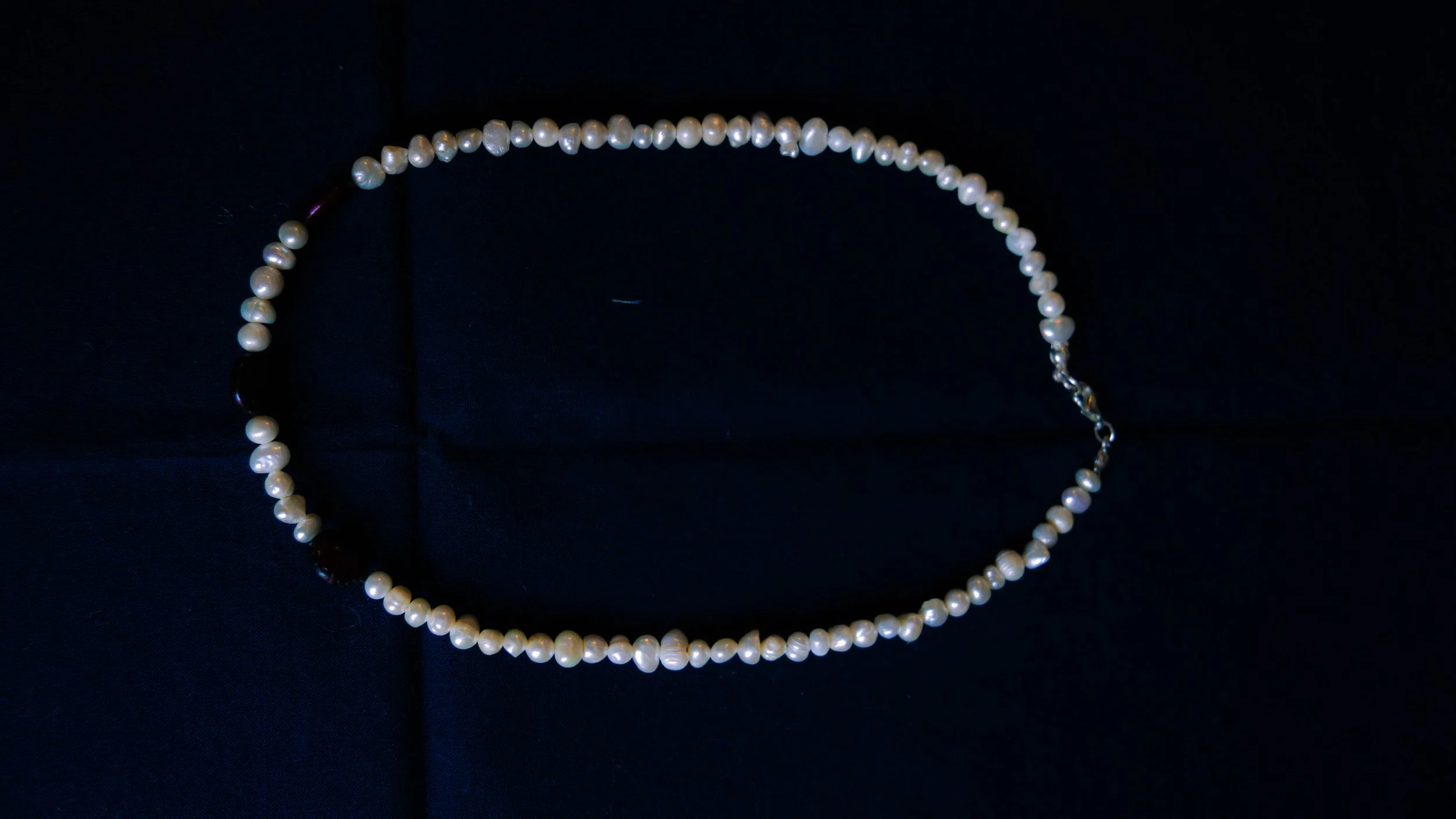 COINPEARLNECKLACE(1).jpg