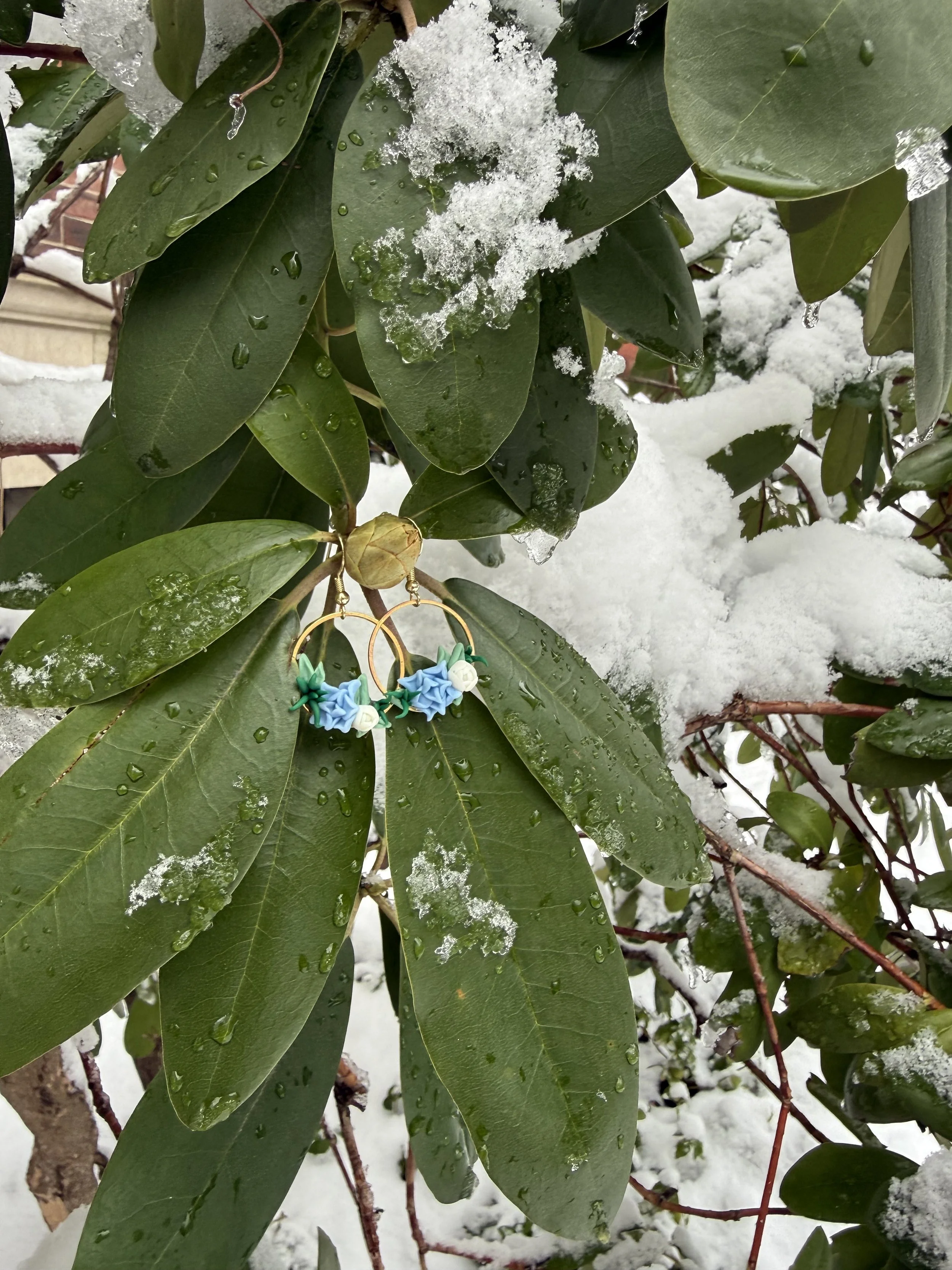 Succulent Earrings.jpeg
