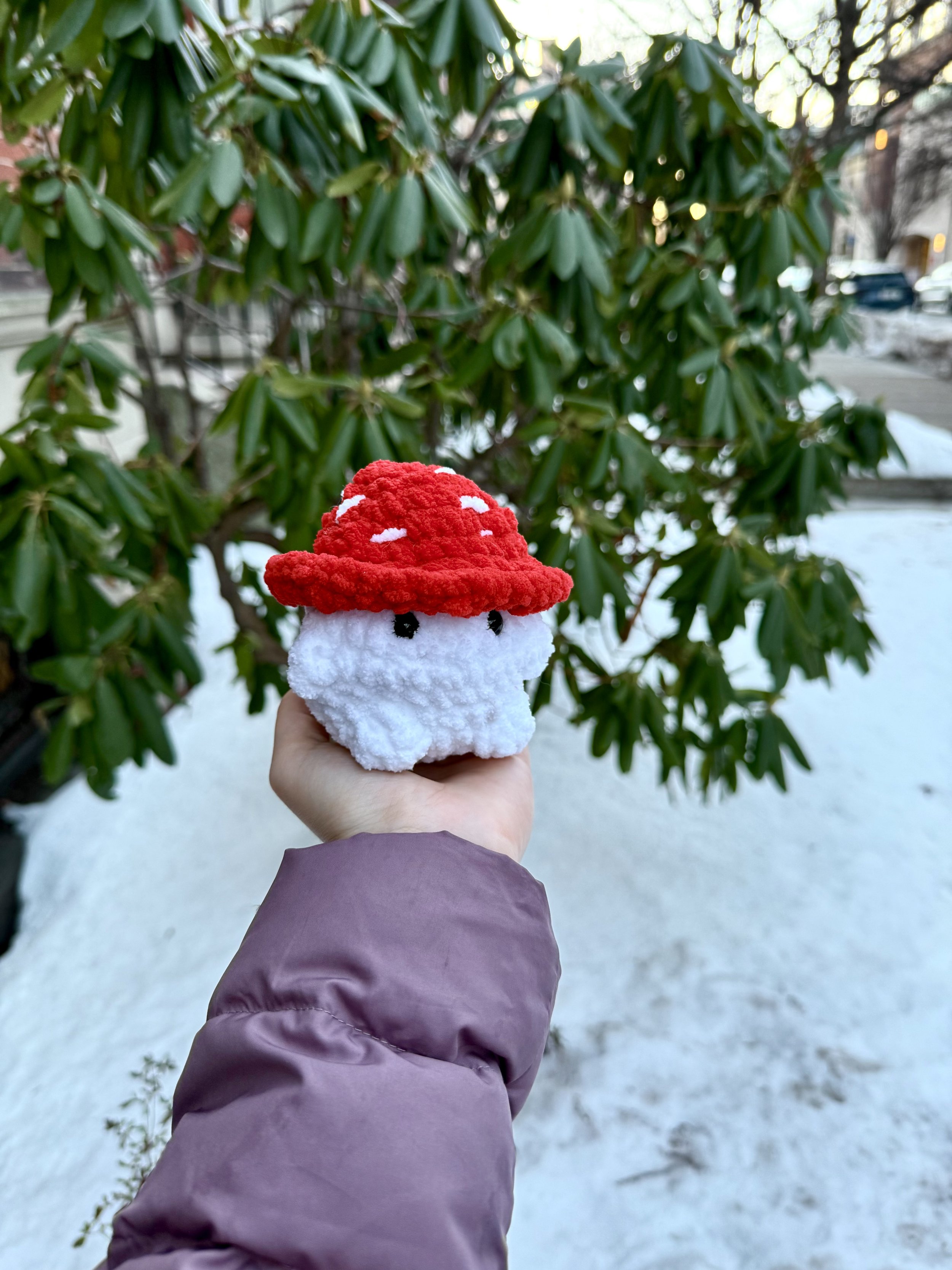 Milo the Mushroom2.jpeg