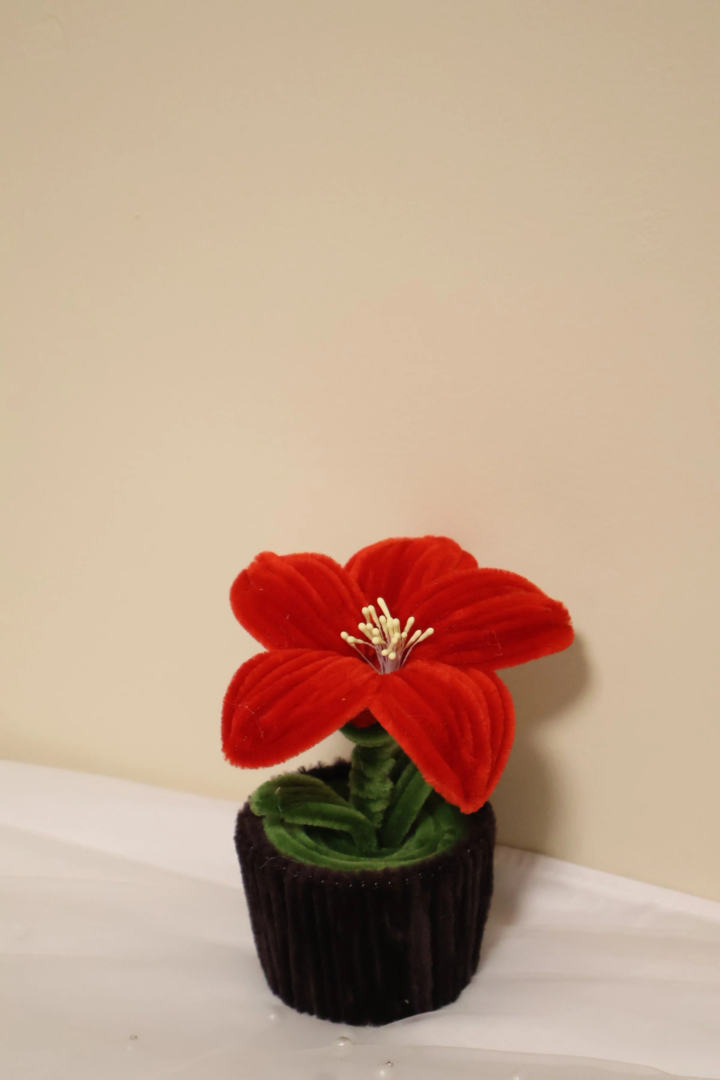 Red Lily Flower Pot.JPG