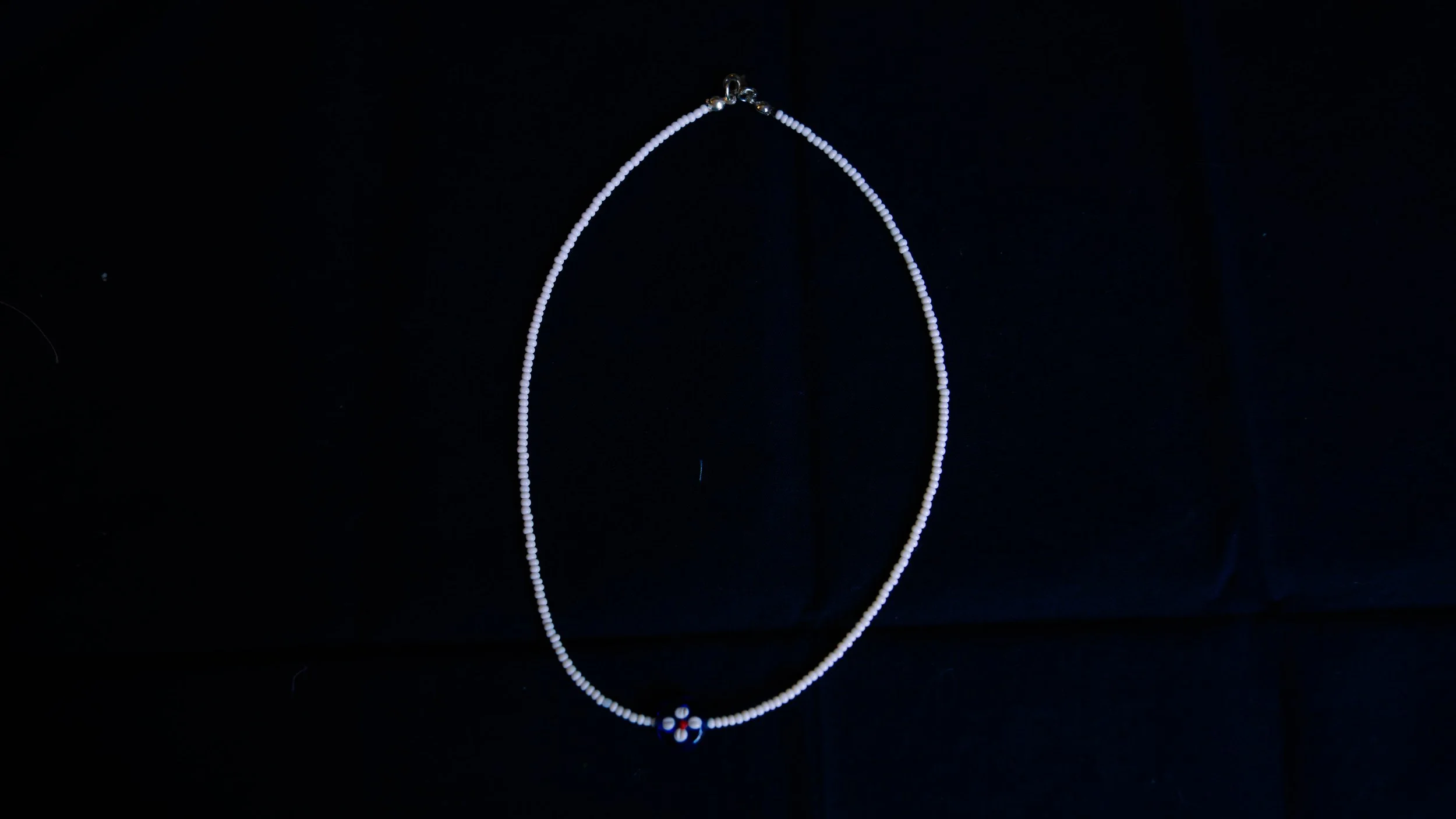 WHITEANDBLUEFLOWERNECKLACE.jpg