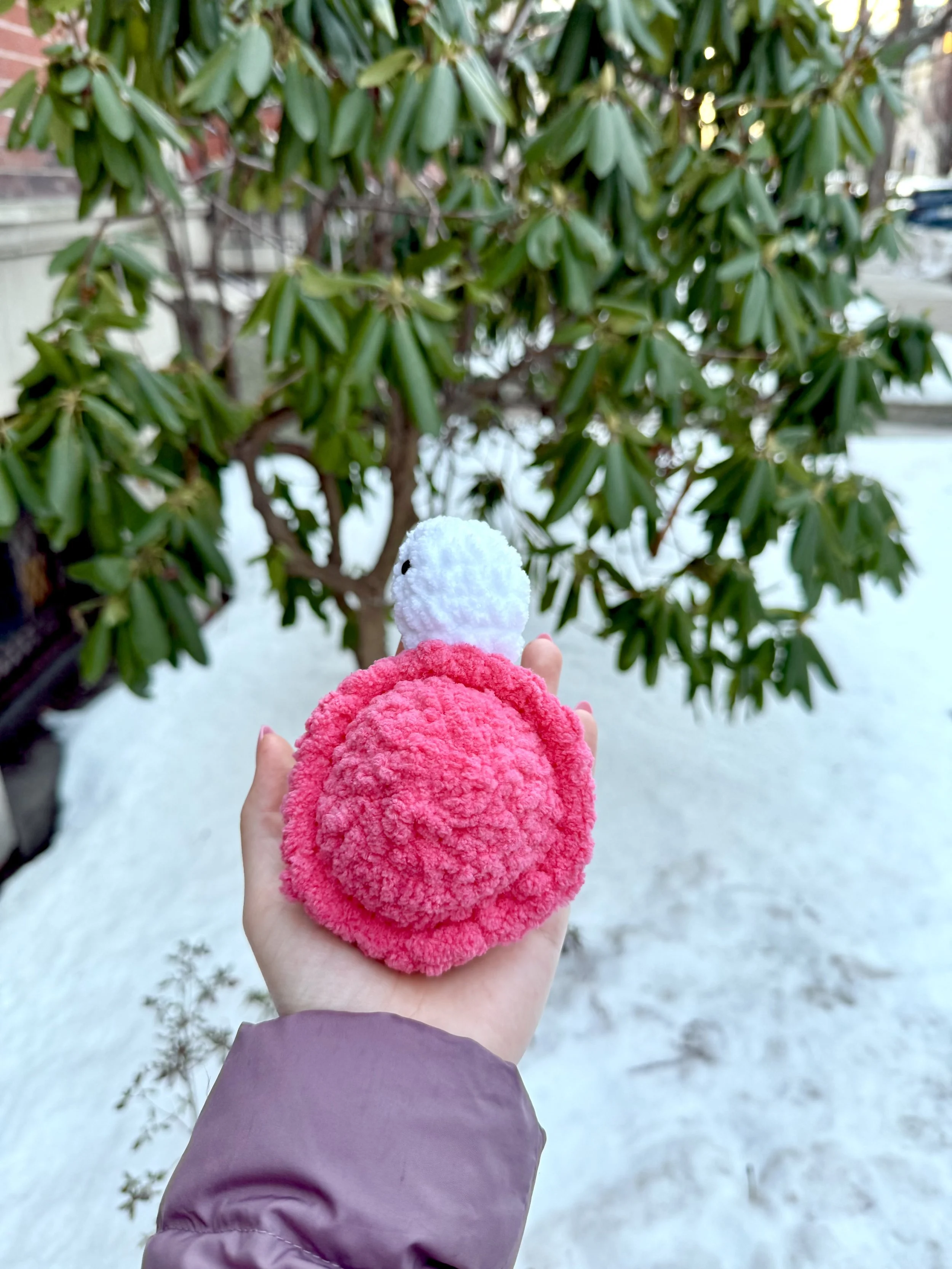 Tina the Turtle2.jpeg