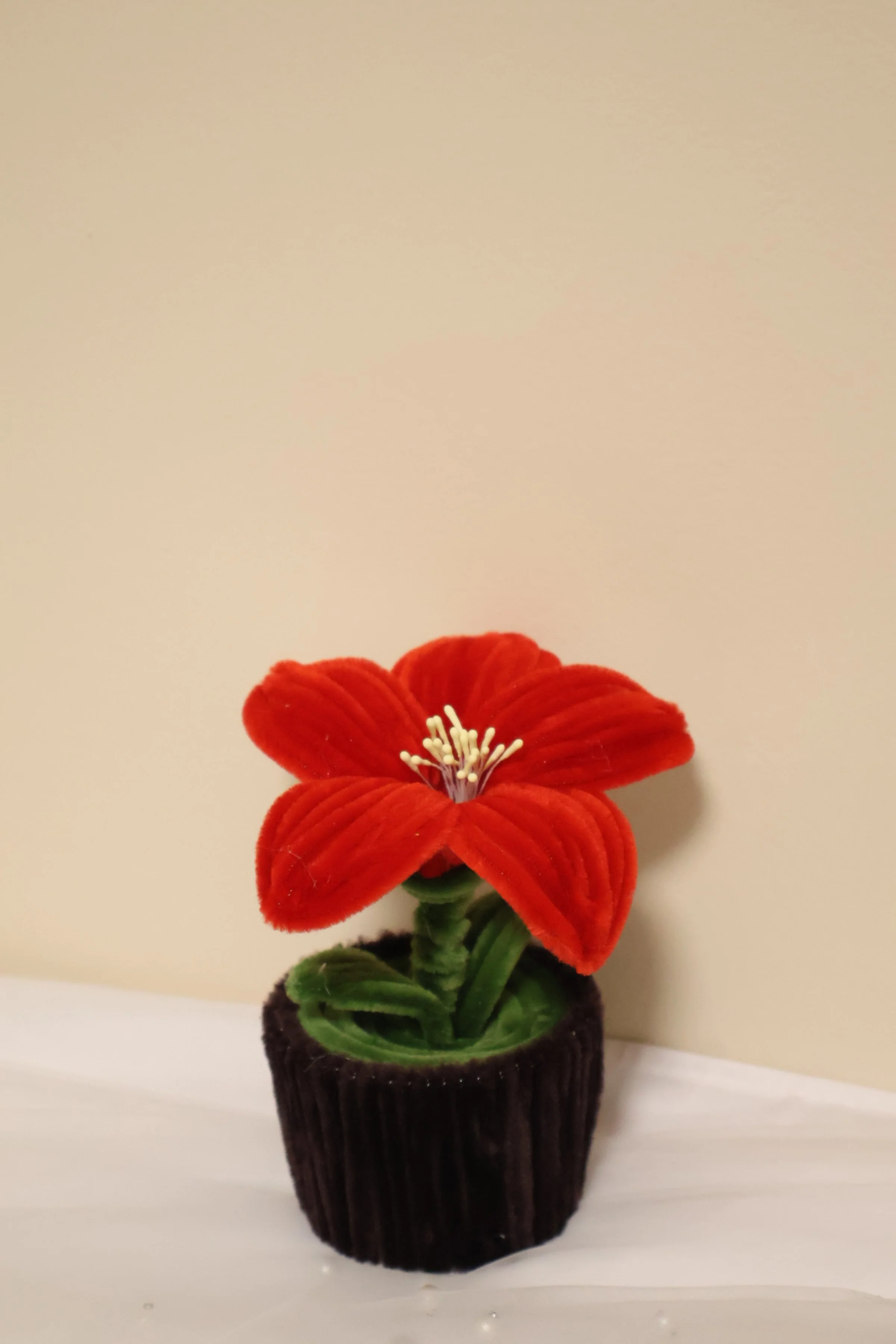Red Lily Flower Pot(1).jpg