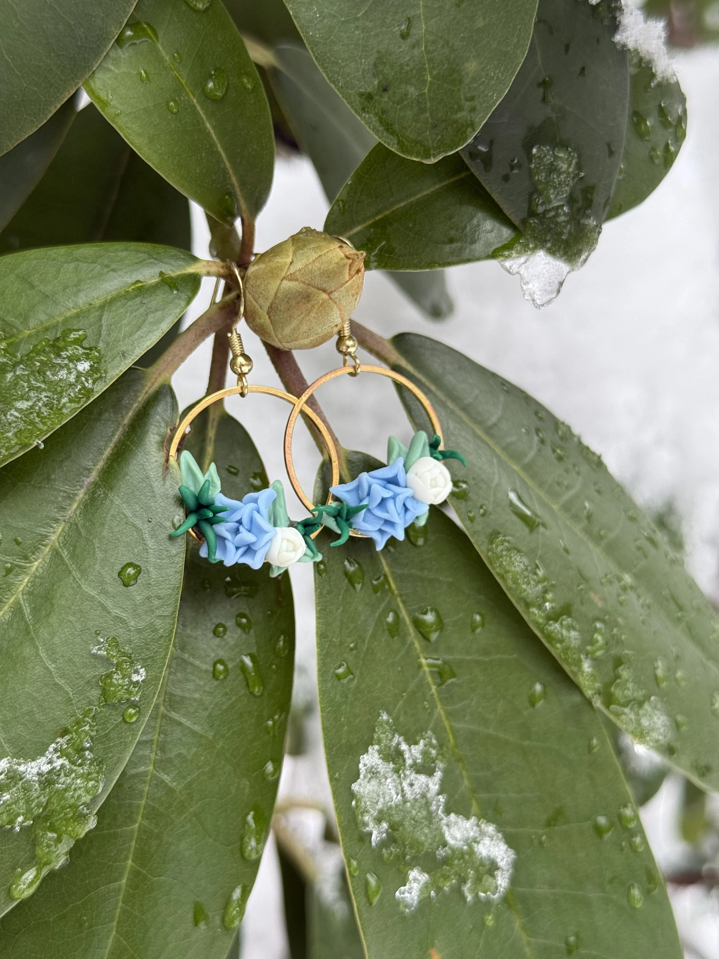 Succulent Earrings2.jpeg