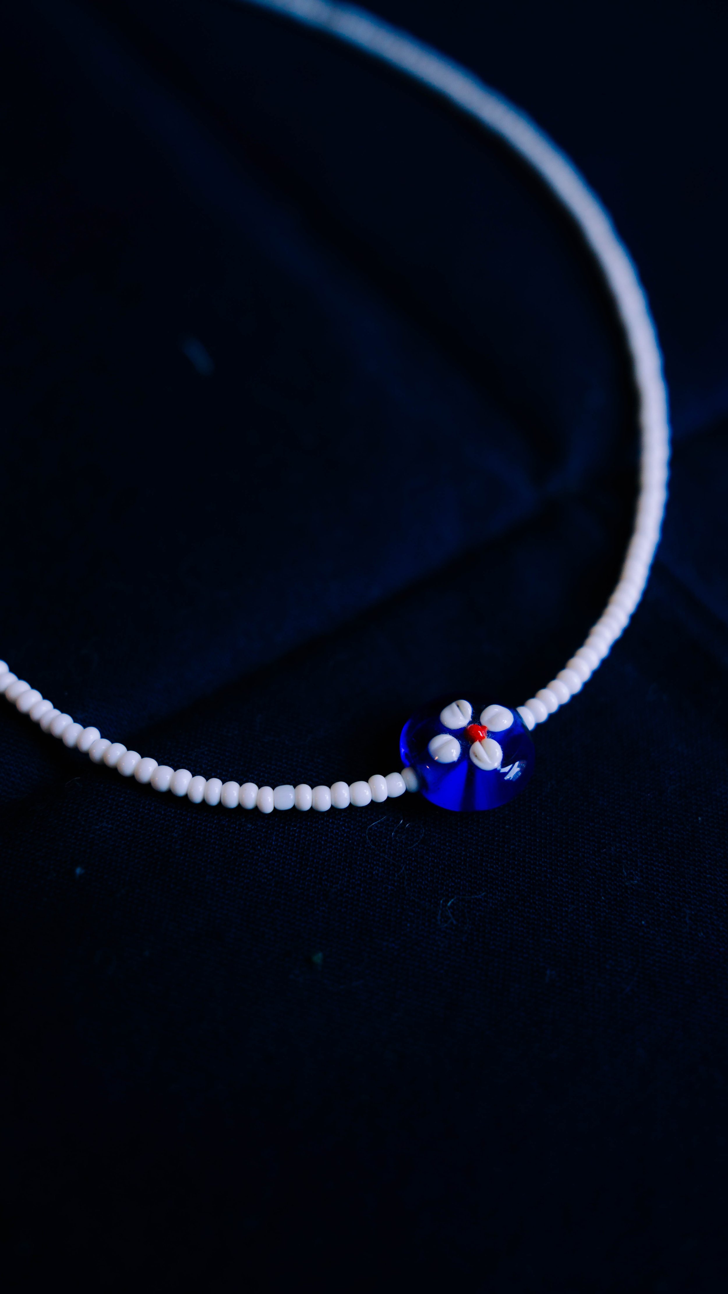 WHITEANDBLUEFLOWERNECKLACE(1).jpg