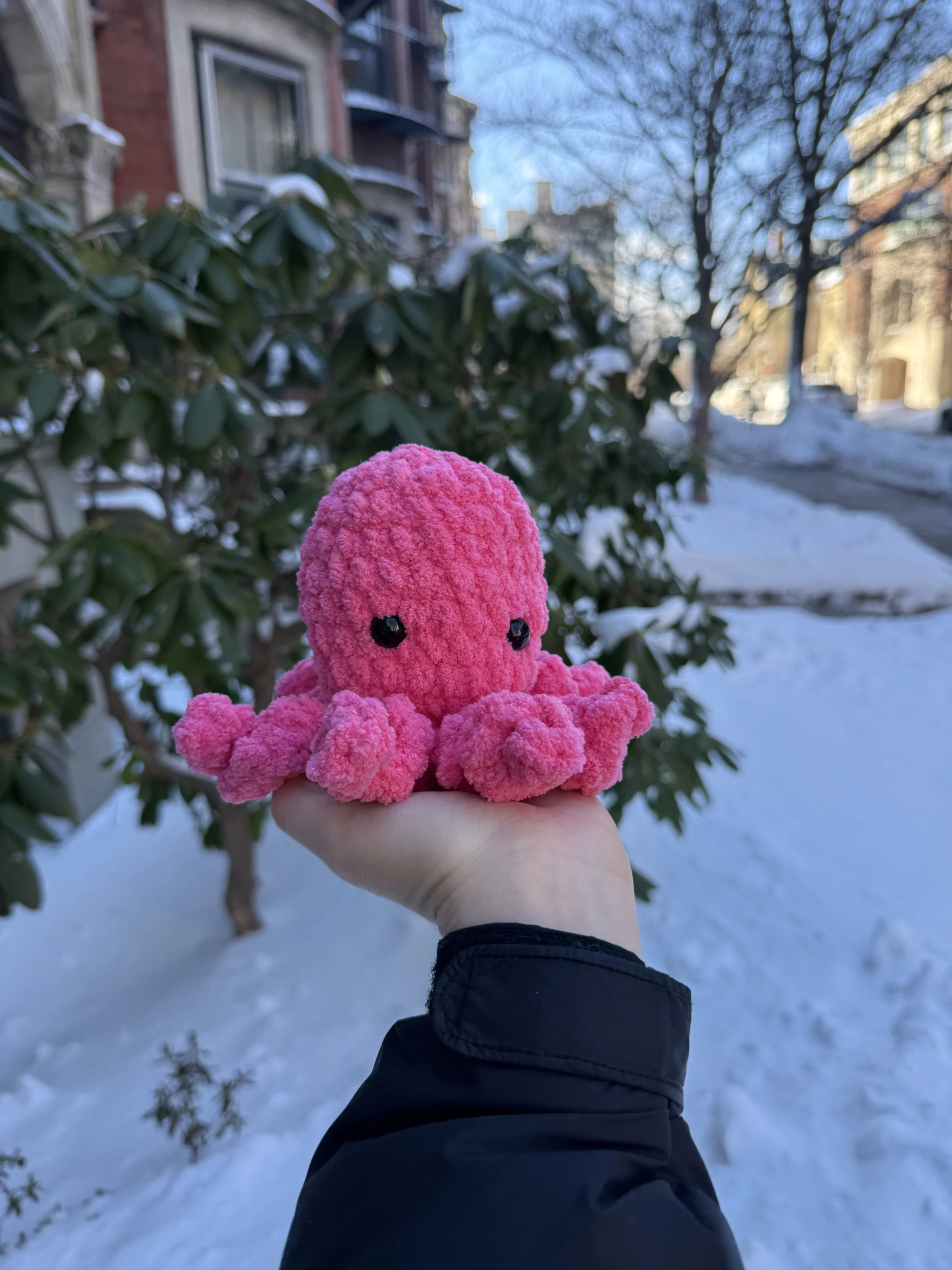 Oliver the Octopus.jpeg