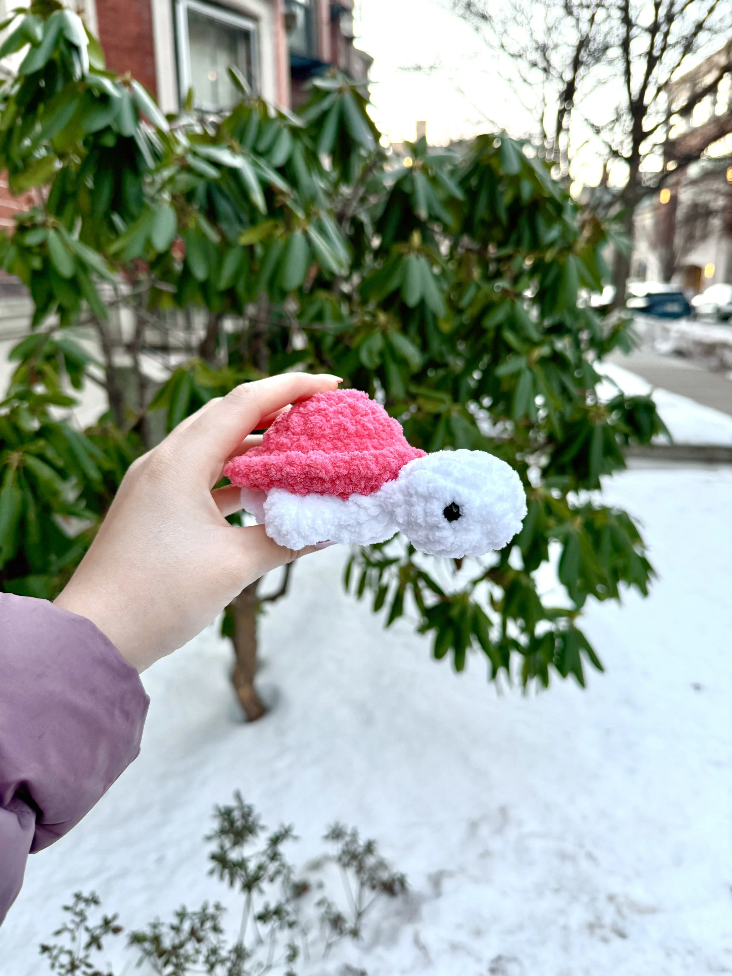 Tina the Turtle1.jpeg