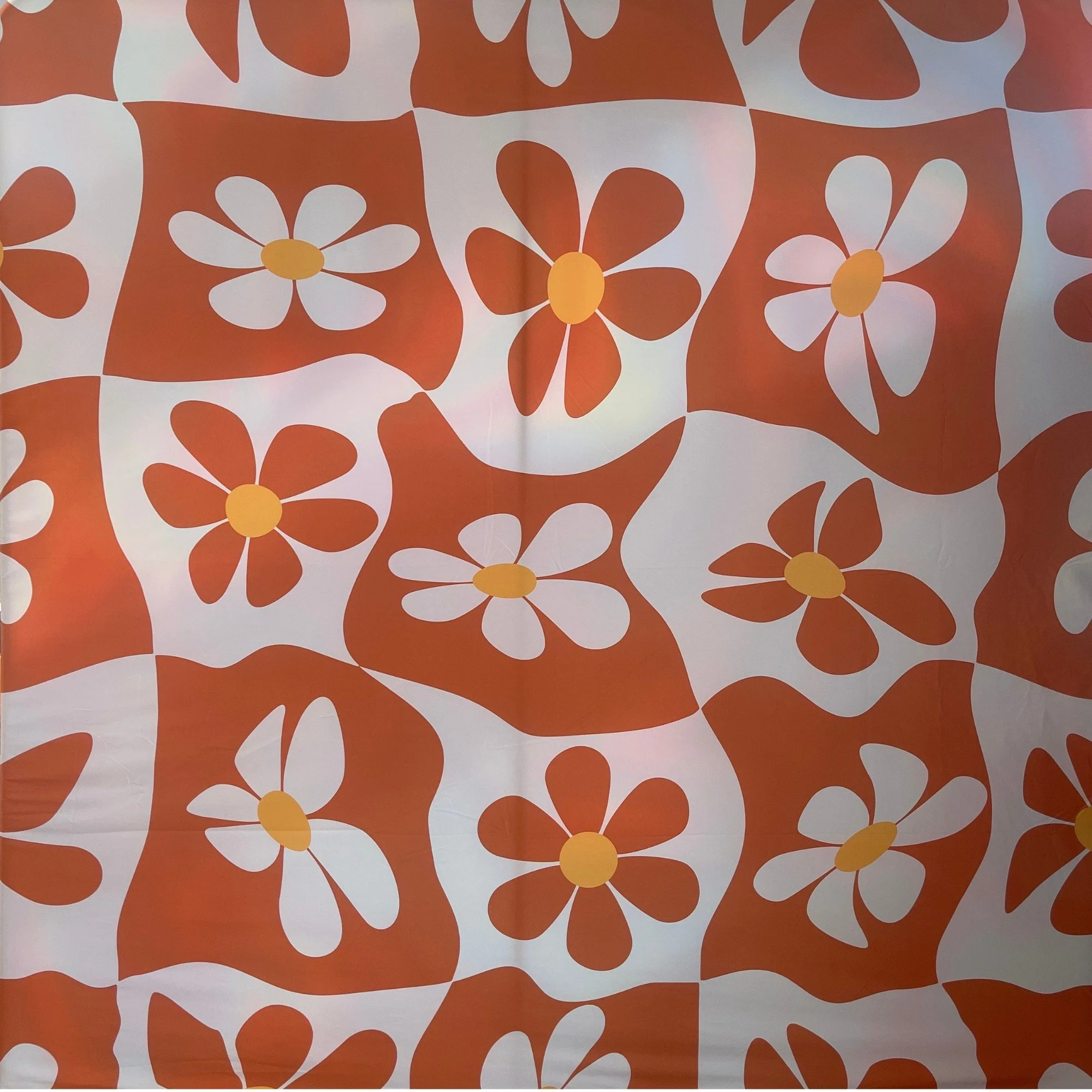 Groovy Daisy