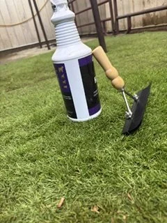 IMG_0999.jpeg