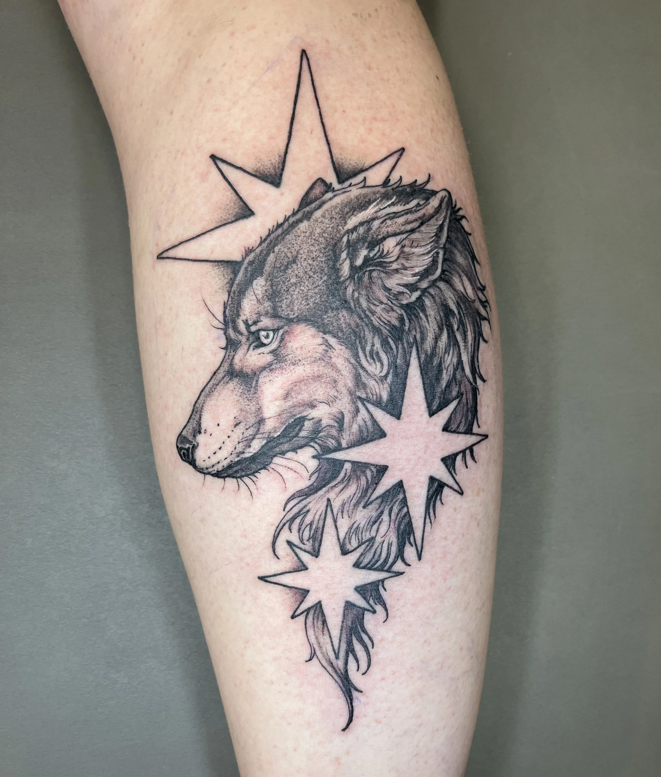 Tattoo of a wolf's head with a starburst design behind it on a person's arm. Adam Guy Hays Denver artist tattoo