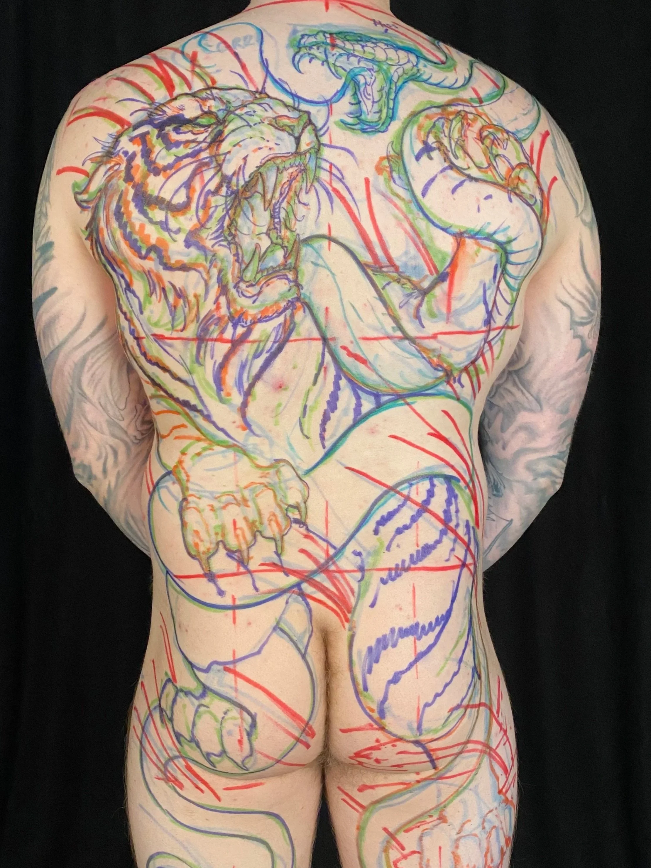 A person's back with body art that resembles a technical anatomical drawing, featuring a roaring lion's head on the upper left shoulder, a snake's head near the upper middle, and various lines and shading representing muscles and anatomical structures.