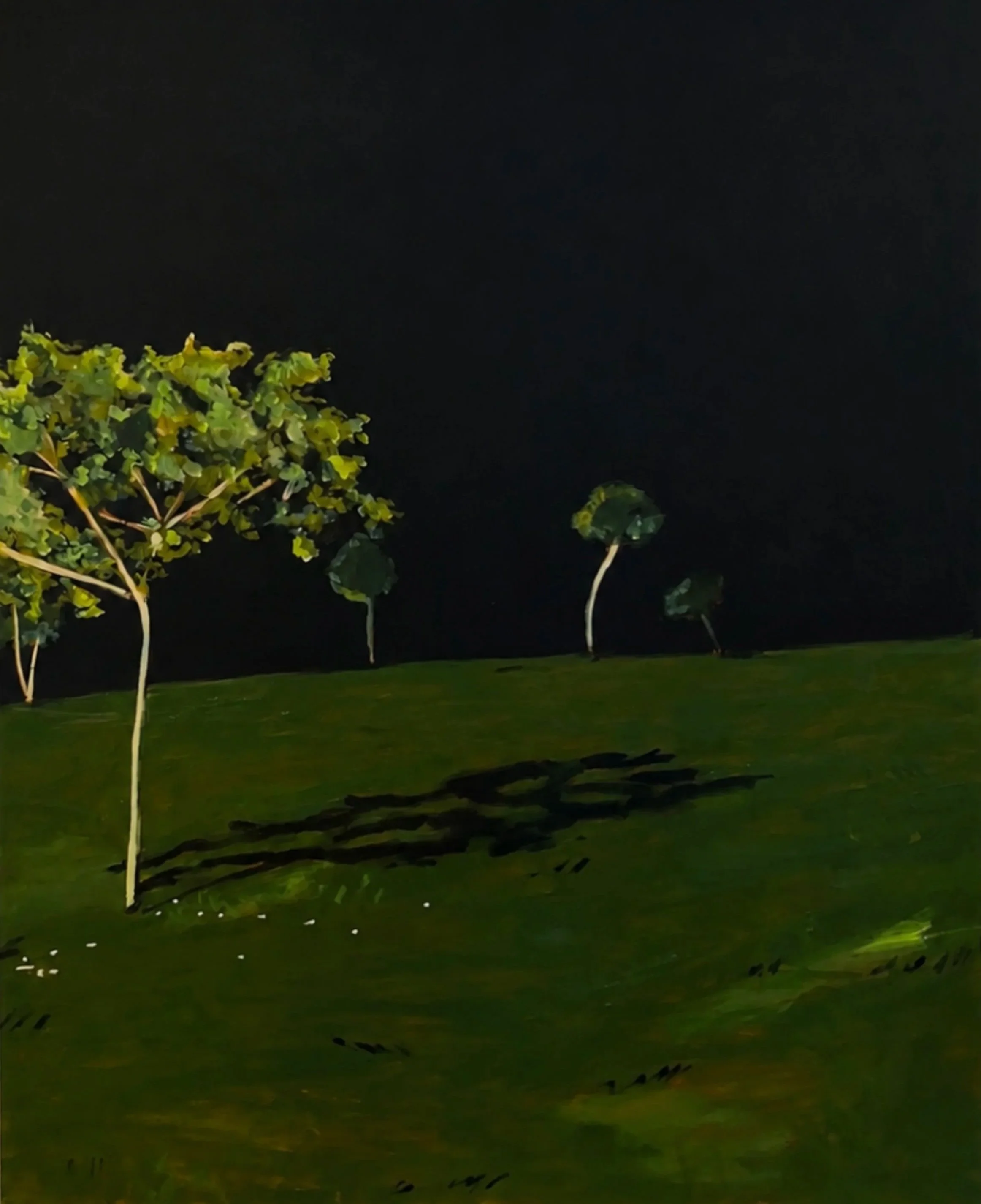 night trees IV, 60 x 48", oil on canvas