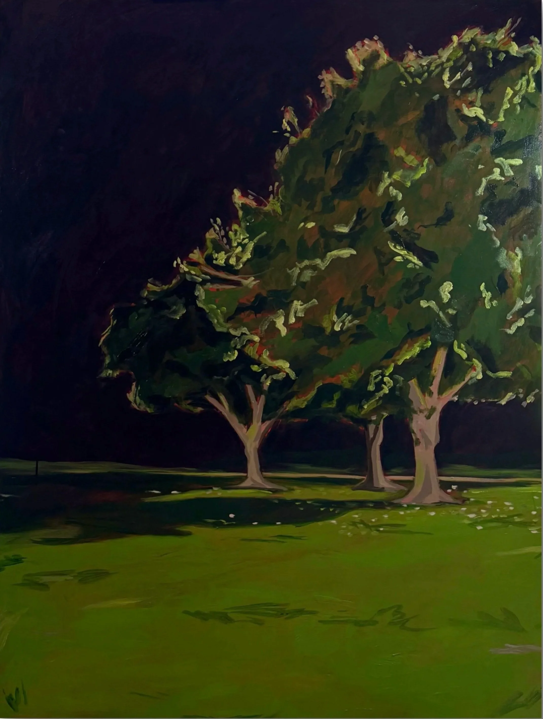 night trees I, 60 x 48", oil on canvas