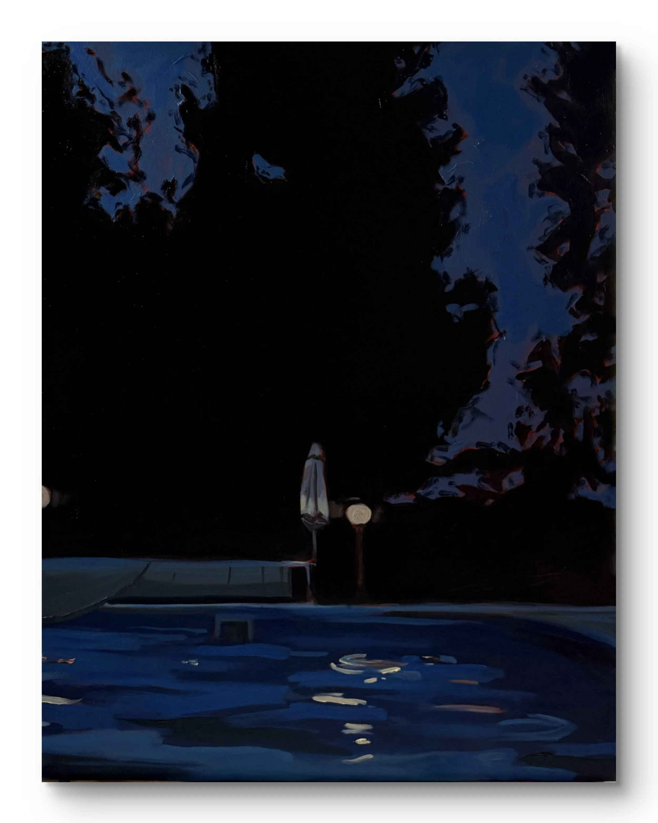 night trees III, 40 x 30", oil on canvas, 2026