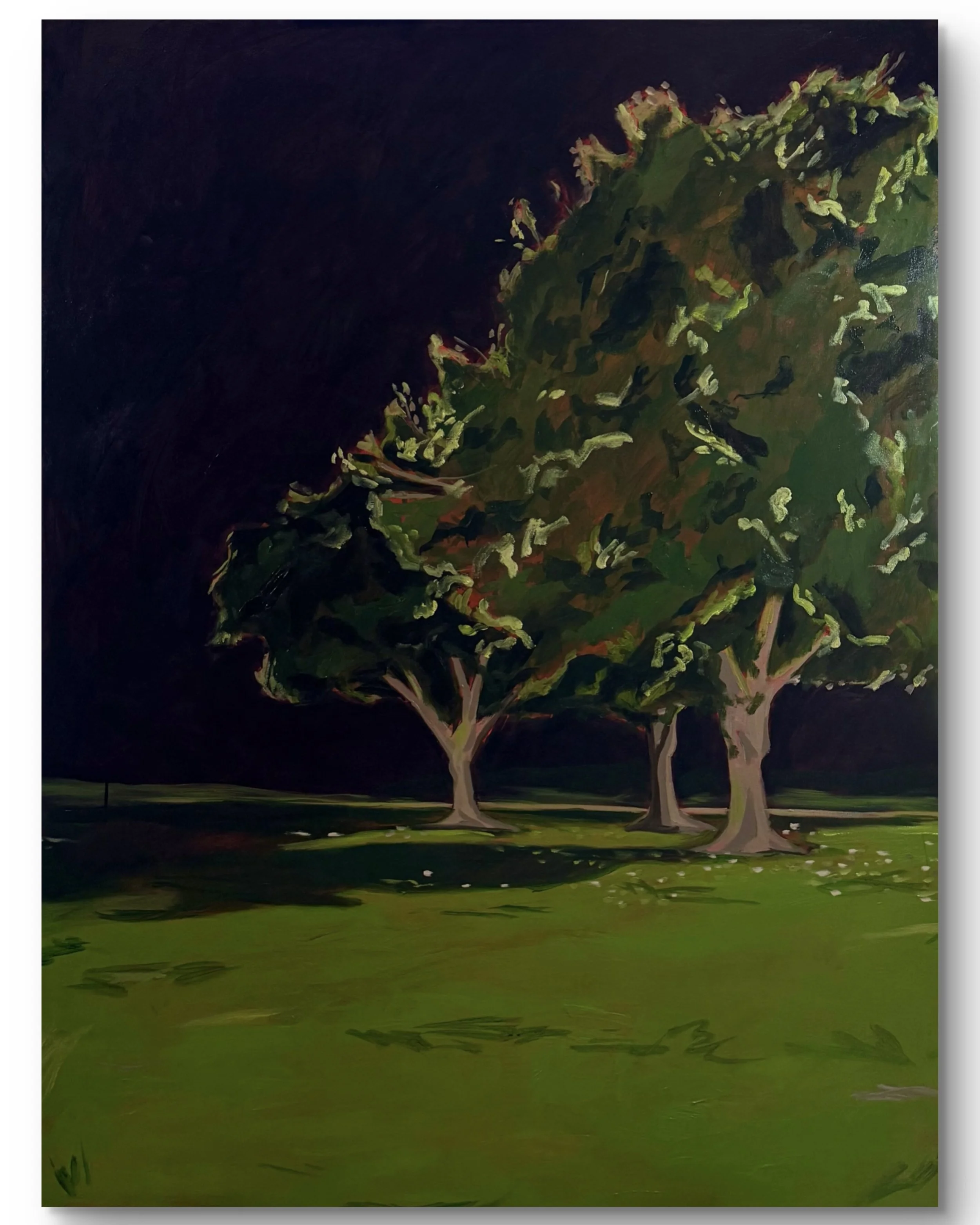 night trees I, 48 x 60", oil on canvas, 2026