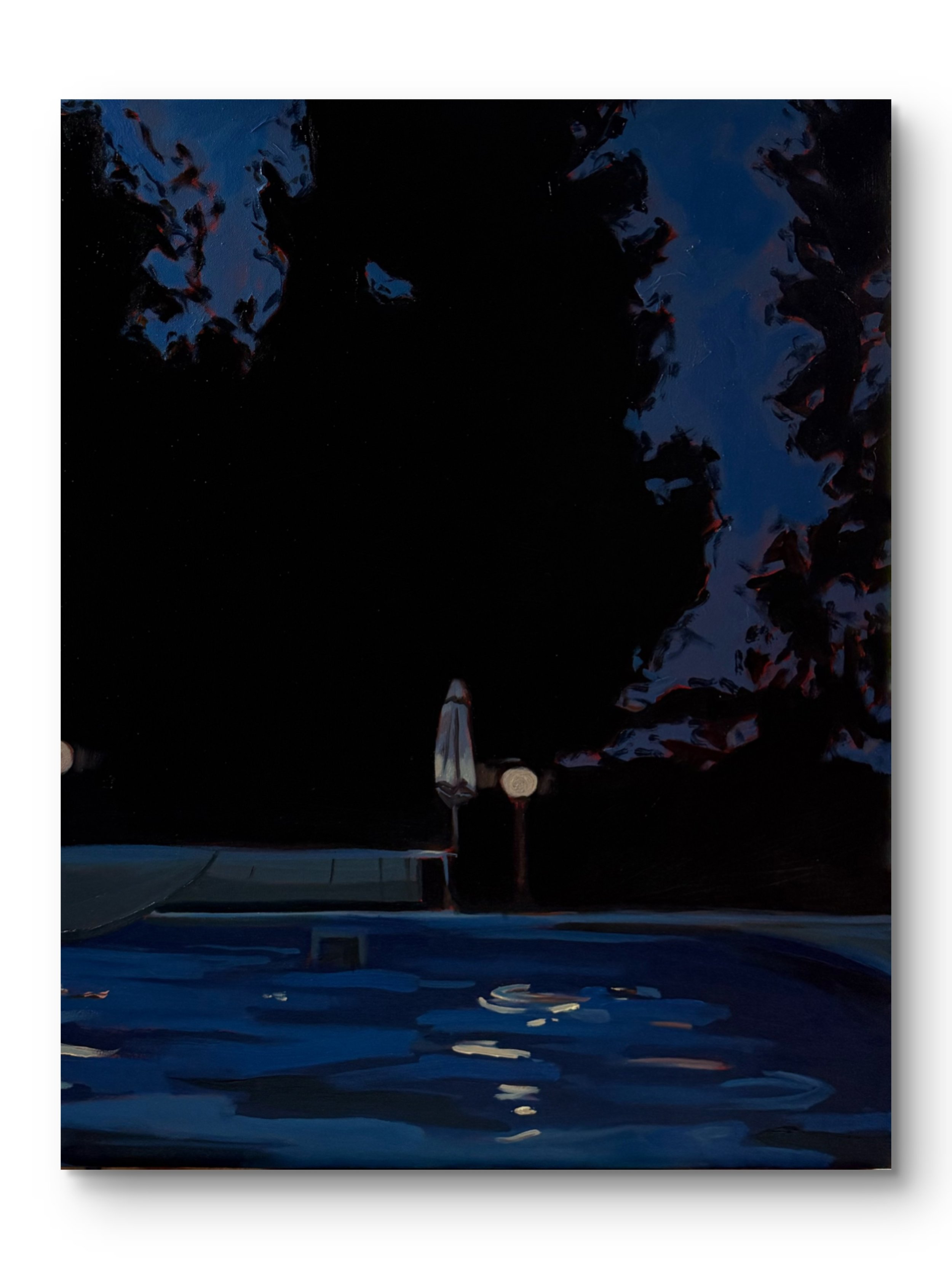 night trees III, 40 x 30", oil on canvas