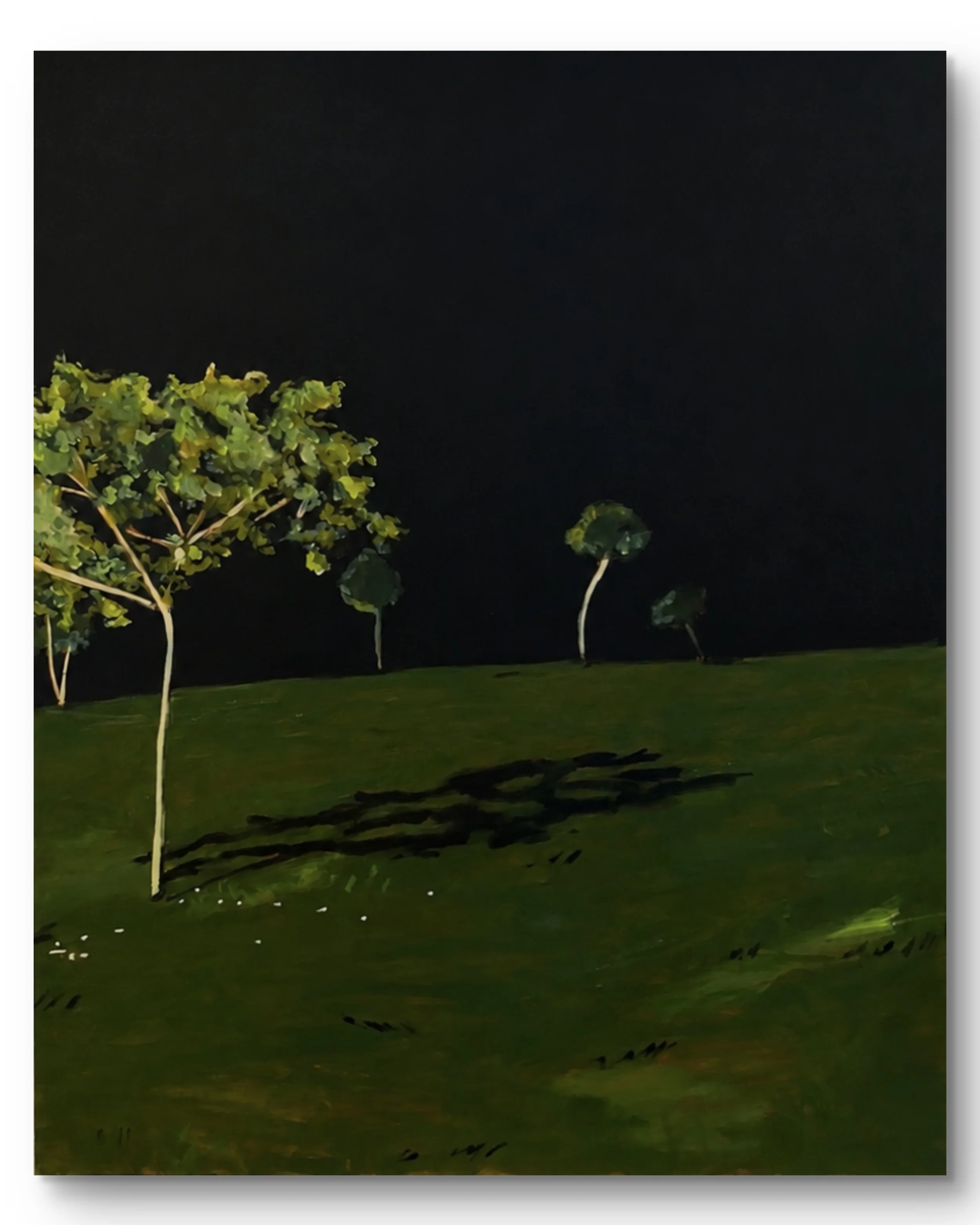 night trees IV, 60 x 48", oil on canvas, 2026