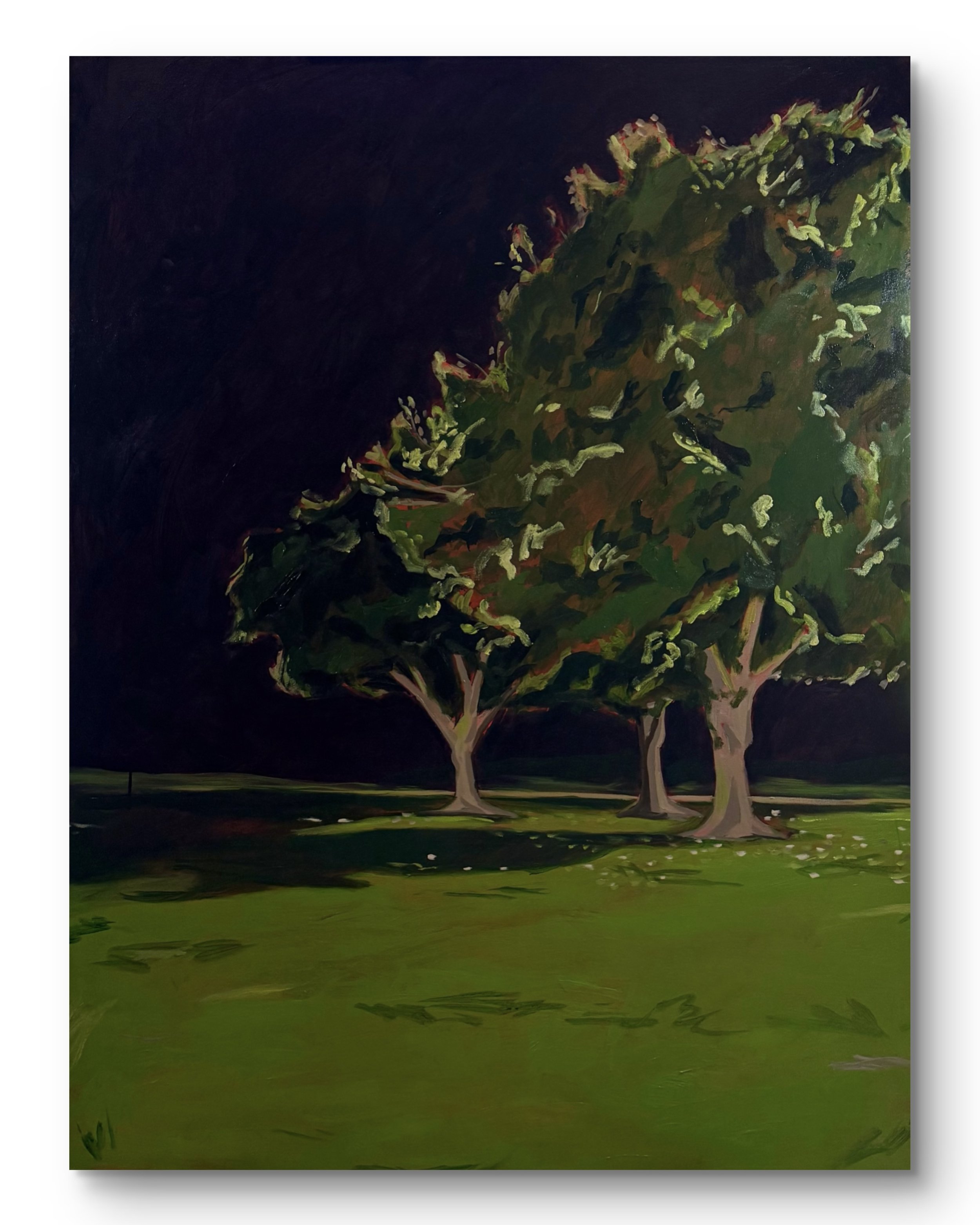 night trees I, 48 x 60", oil on canvas