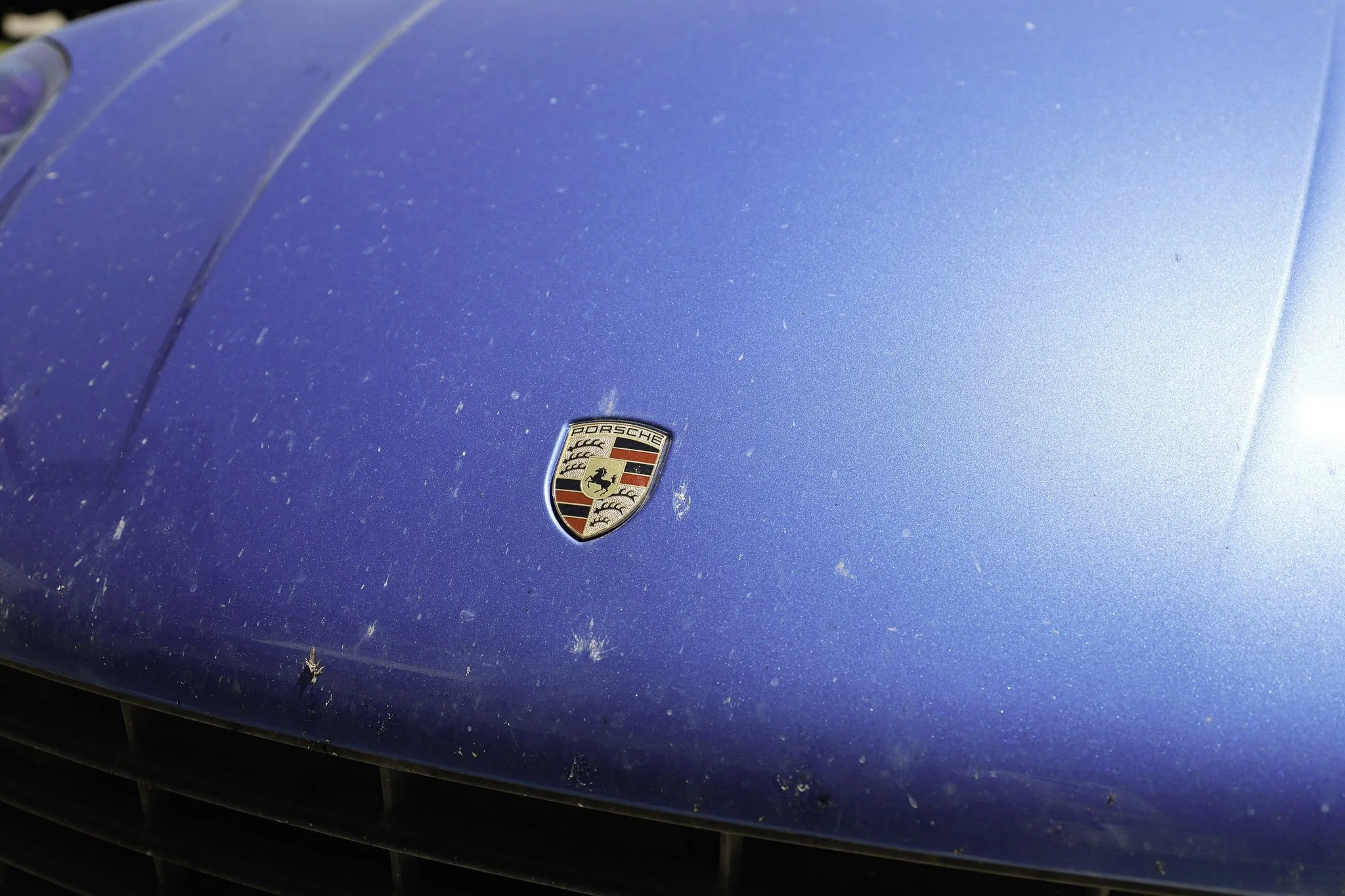 Close-up of a blue Porsche car hood with visible dirt and dust, featuring the Porsche emblem in the center.