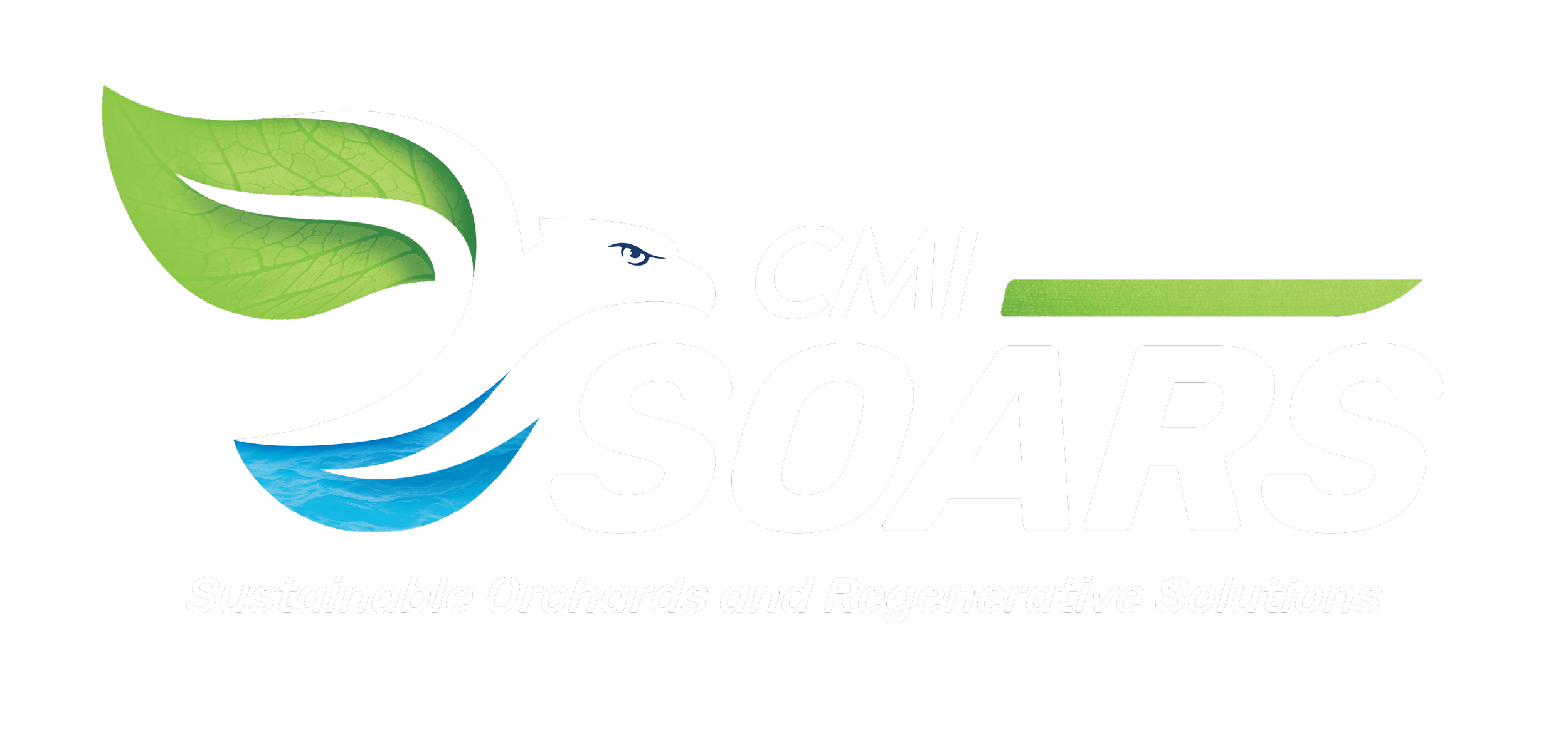 CMI SOARS logo