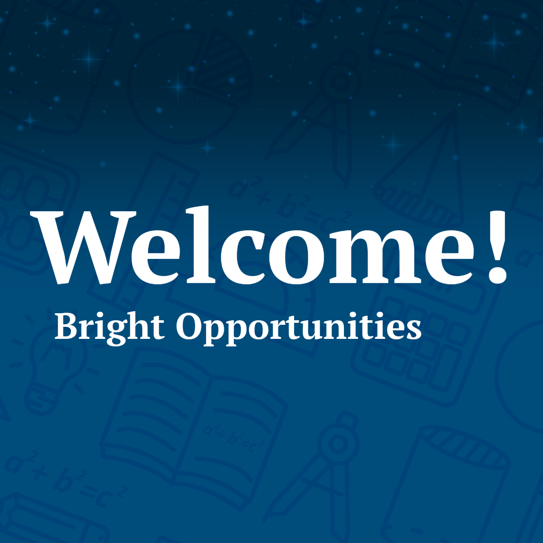 Bright Opportunities: Welcome to Stellar Virtual Private School