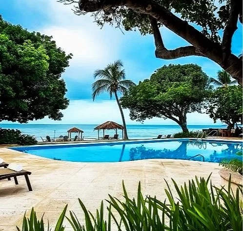 Swimming pool in a tropical setting with palm trees, lush greenery, and a view of the ocean in the background, under a partly cloudy sky.