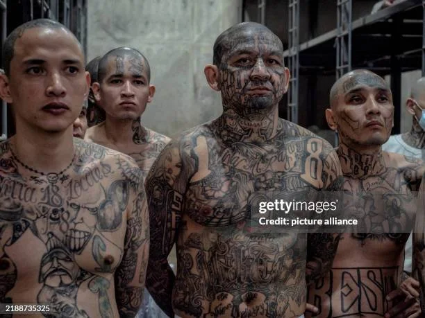 gettyimages-2188735325-612x612.jpg