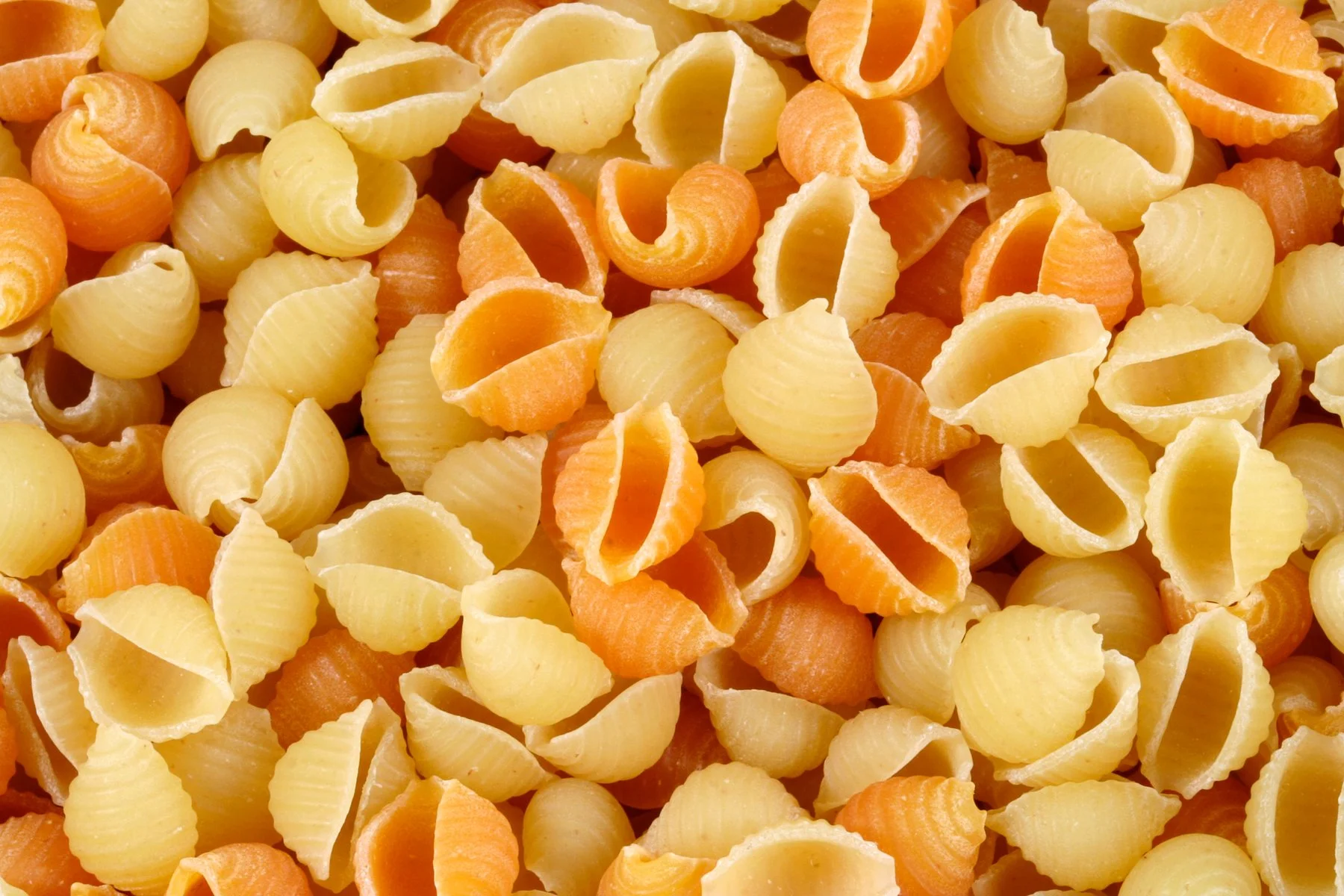 Conchiglie_Pasta_Texture.jpg