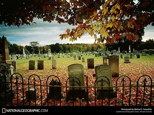 Cemetery with autumn leaves
