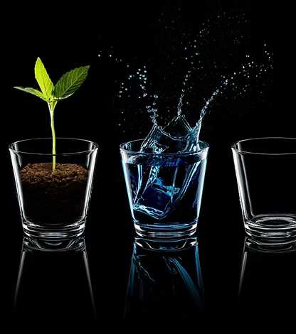 Three glasses with soil and plant, water and air showing the Five Elements