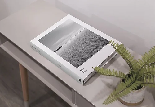 Hardcover book next to a potted fern