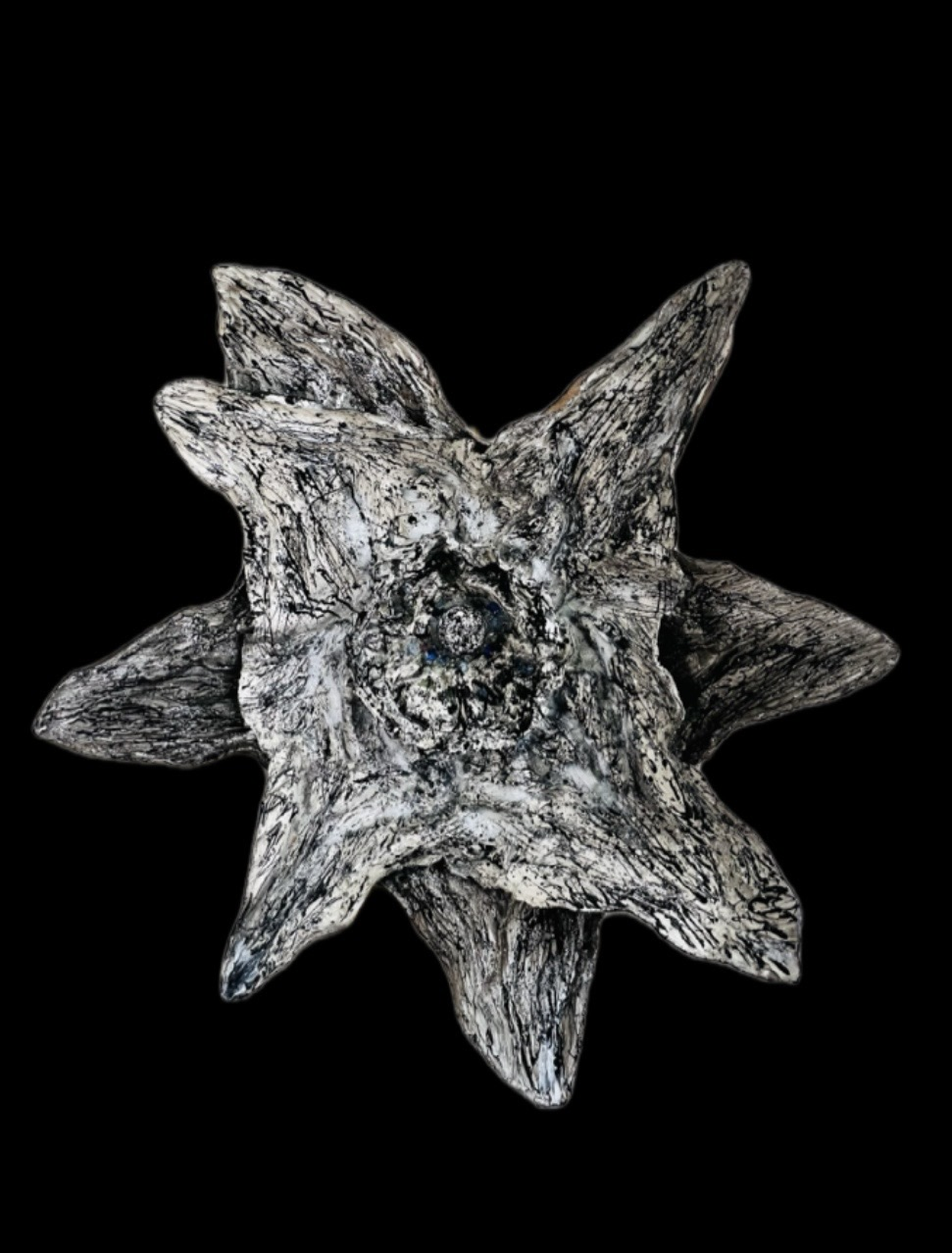 Each Starbloom begins with the essence of a bloom, yet evolves beyond it.