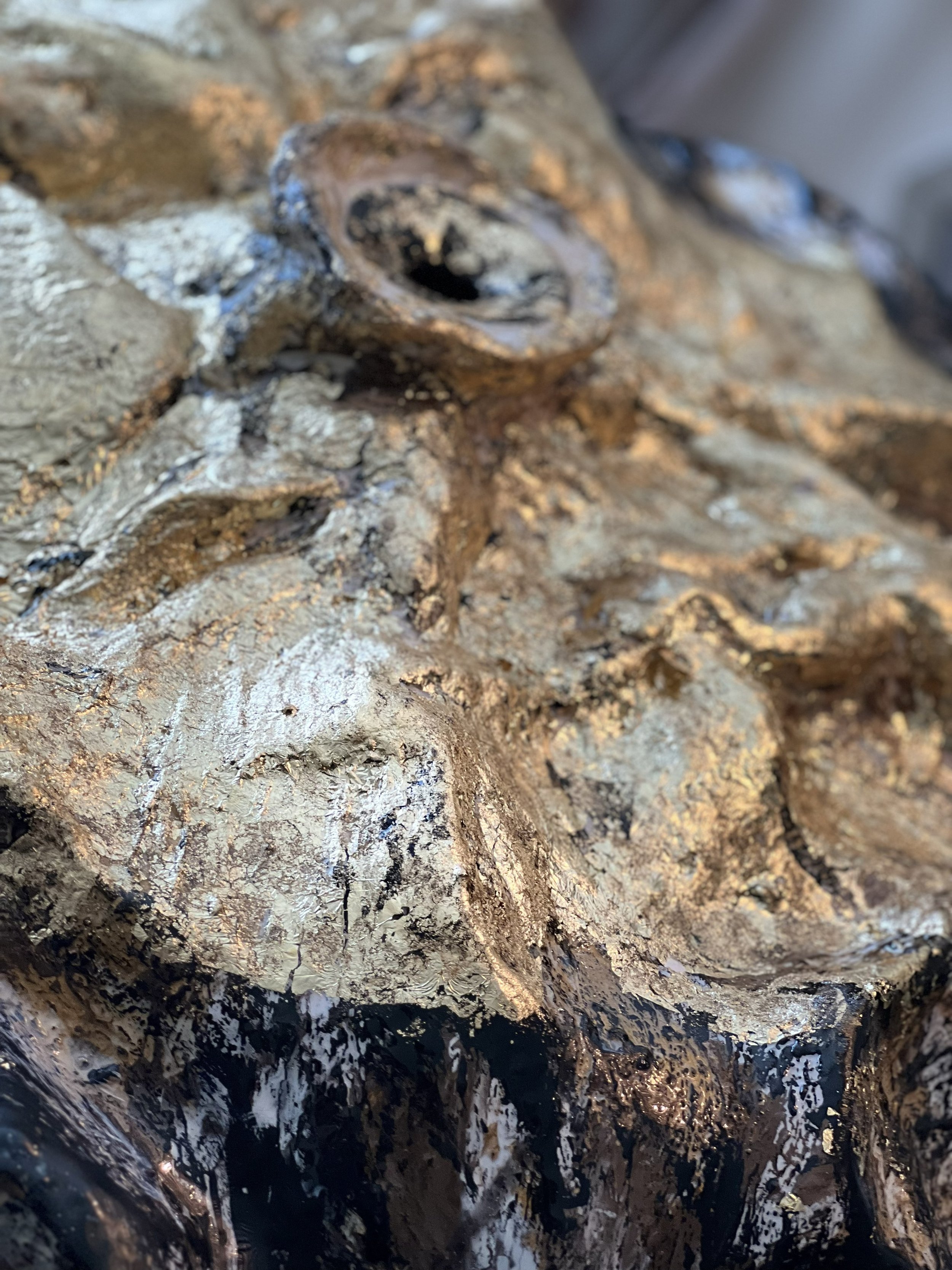 Close-up of a fossilized skull embedded in rocky sediment.