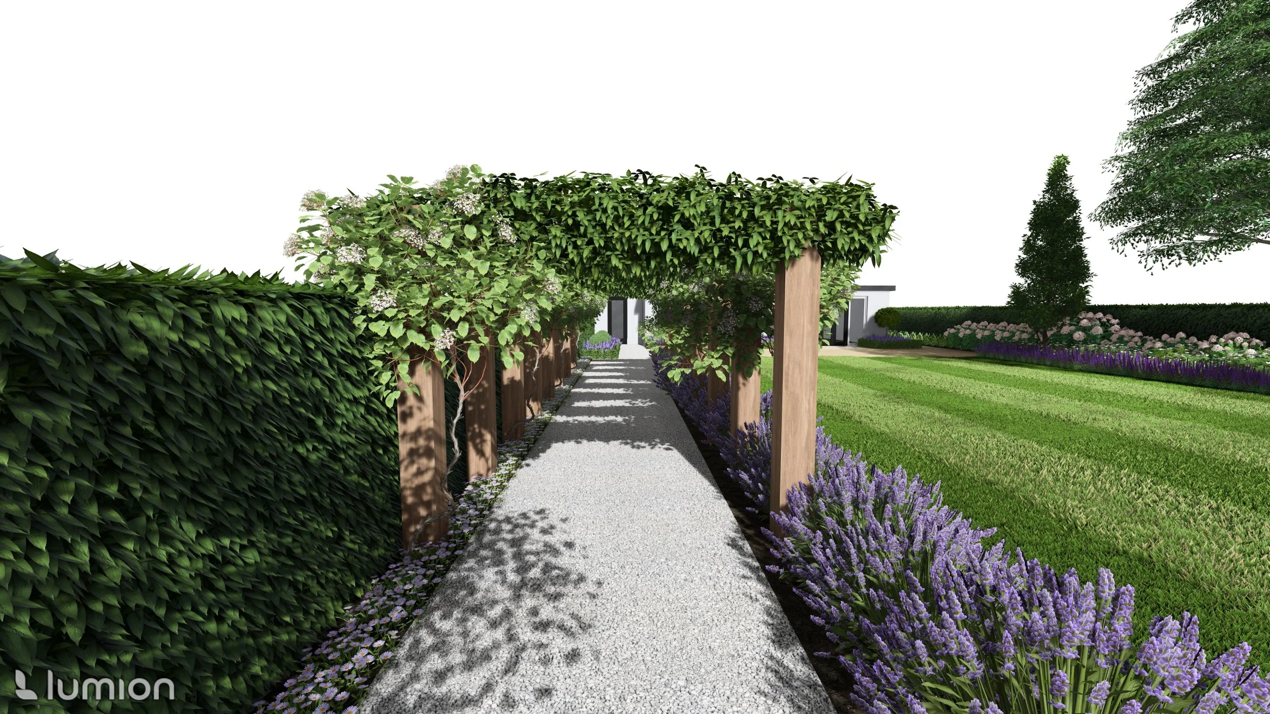 A garden pathway covered by a wooden pergola with lush green vines, surrounded by blooming lavender and ornamental shrubs, with a neatly maintained lawn and trees in the background.