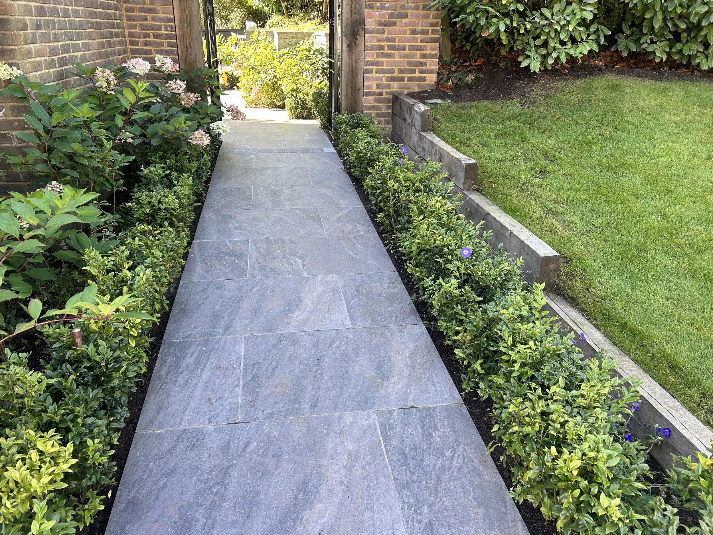 Concrete pathway bordered by lush green bushes with small purple flowers on the right and a brick wall on the left, leading to a garden area with plants and trees in the background.