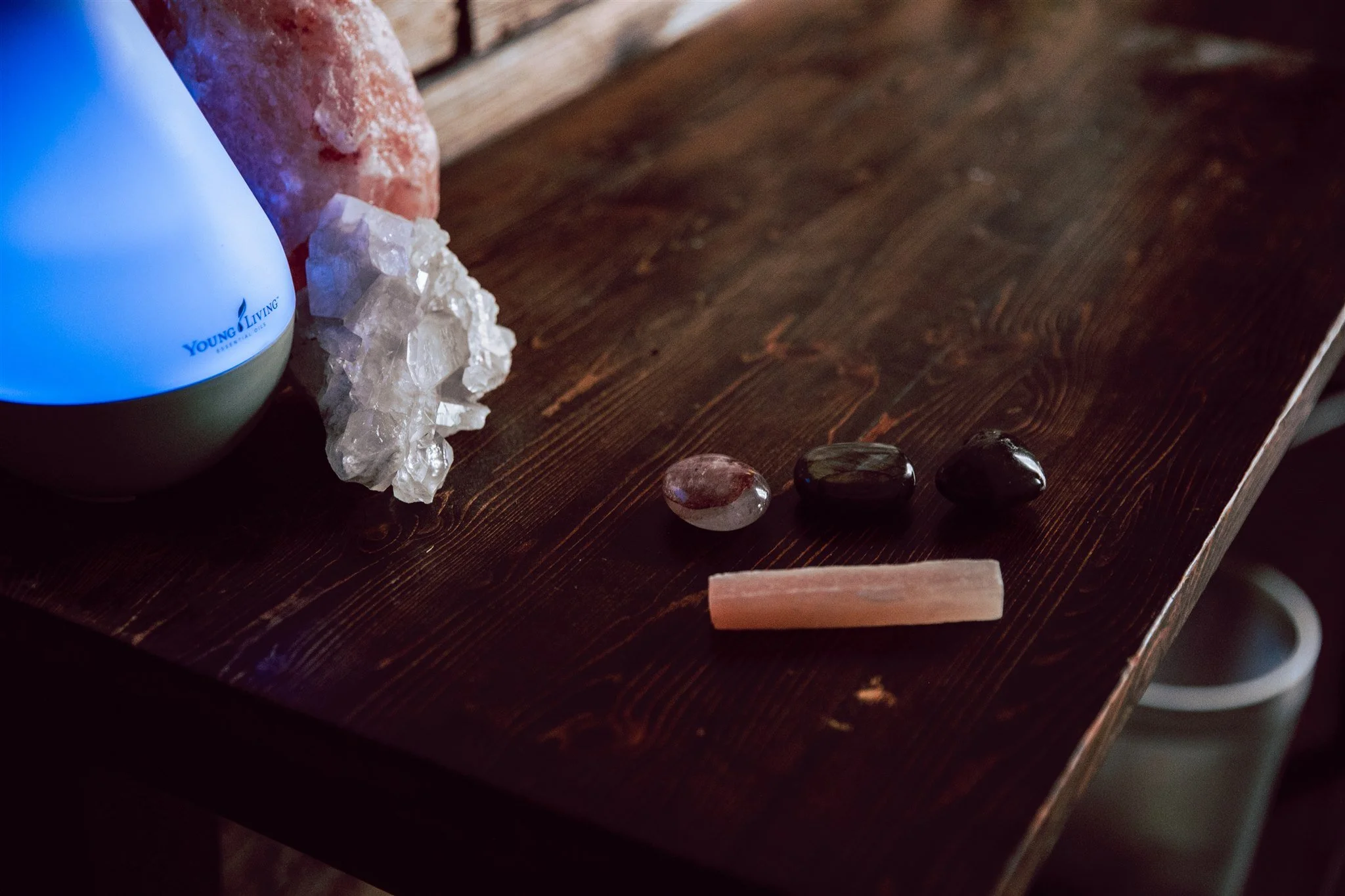 CBD Integrated: Course Bibliography 