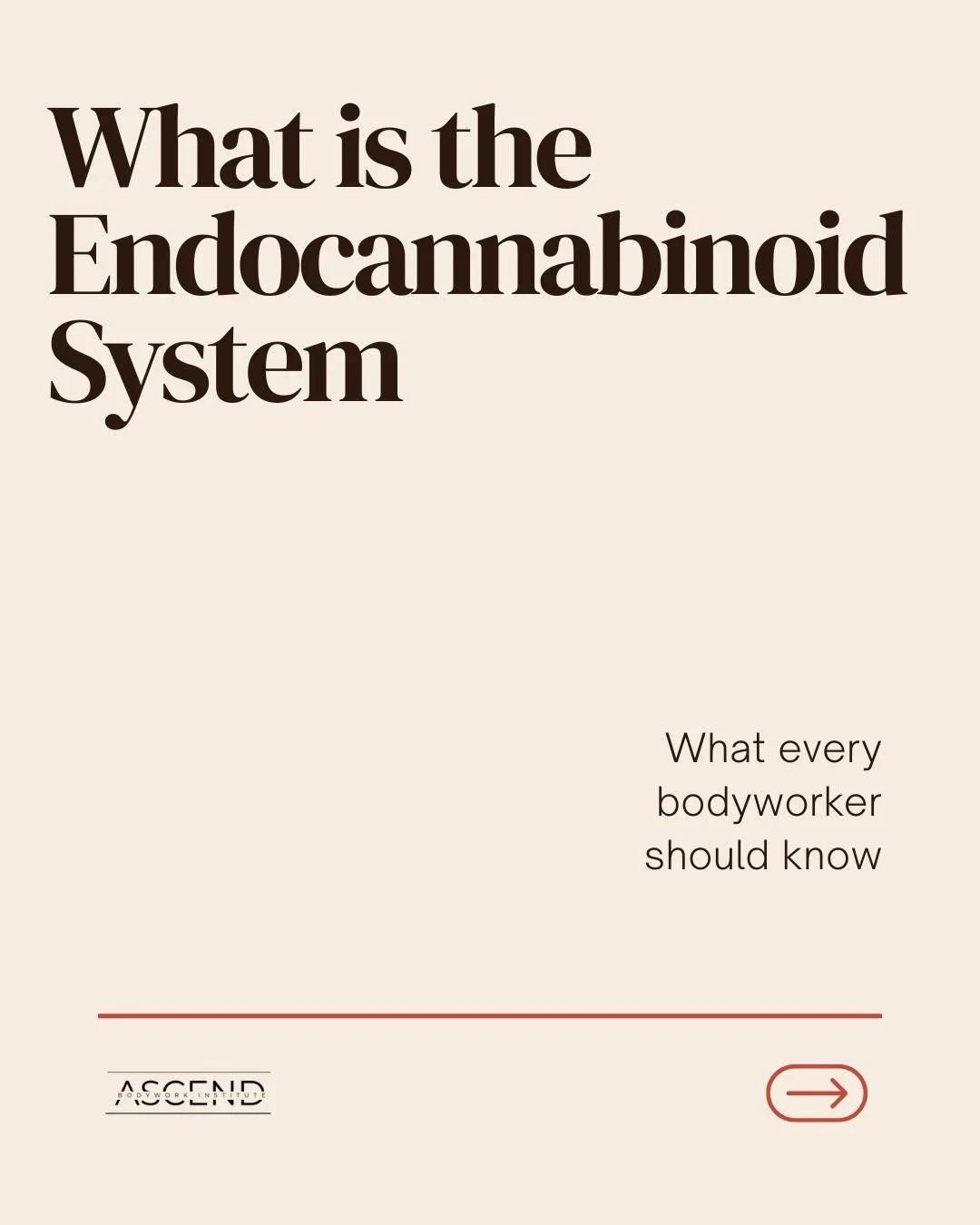 What exactly is the Endocannabinoid System?

A text book will tell you it is a network of Cannabinoid receptor, Endocannabinoids and Enzymes - but what does that mean? 

Don't sleep on this opportunity to learn more about your clients ECS (and yours!