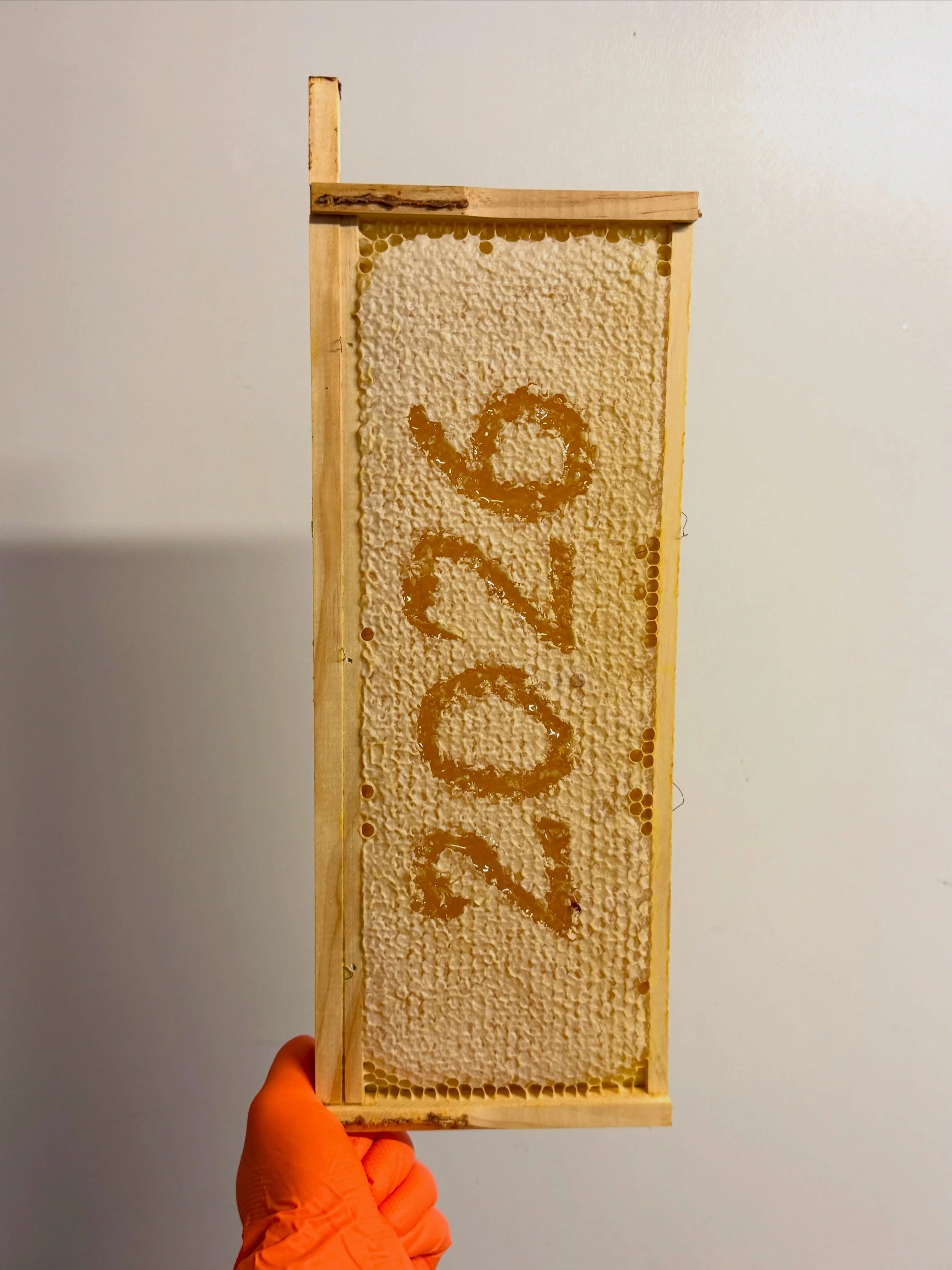 🍯 2026 HONEY HARVEST: DONE! 🐝

That&rsquo;s the honey extracted&hellip; now time to prep the bees for winter! ❄️

#nature #honey #winter #bees #harvest