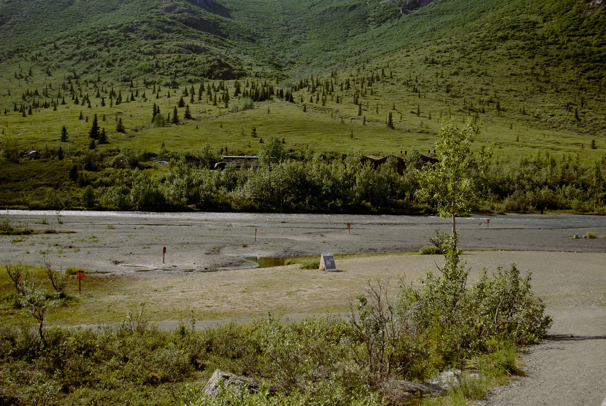 Denali-2.jpg