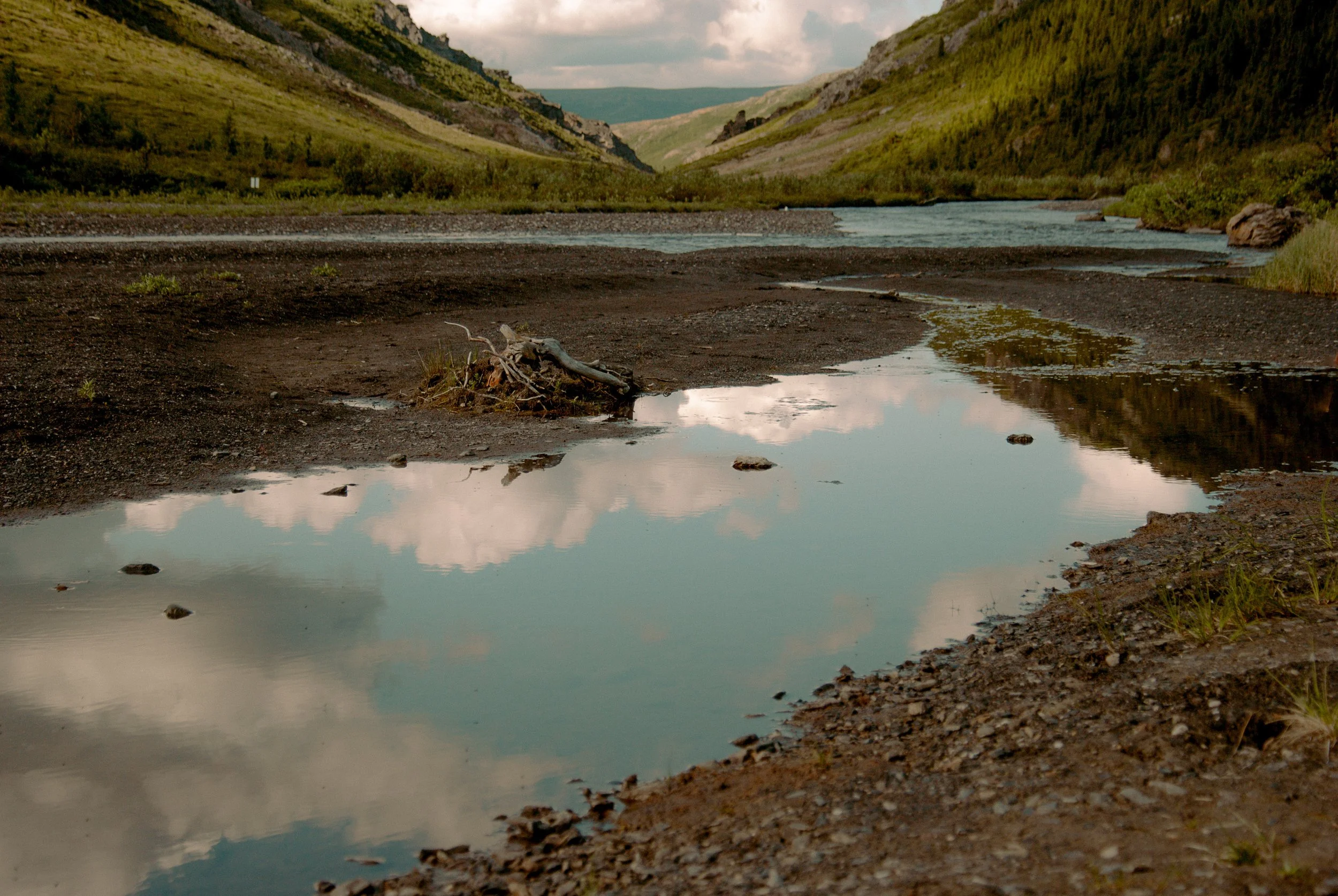 Denali-15.jpg