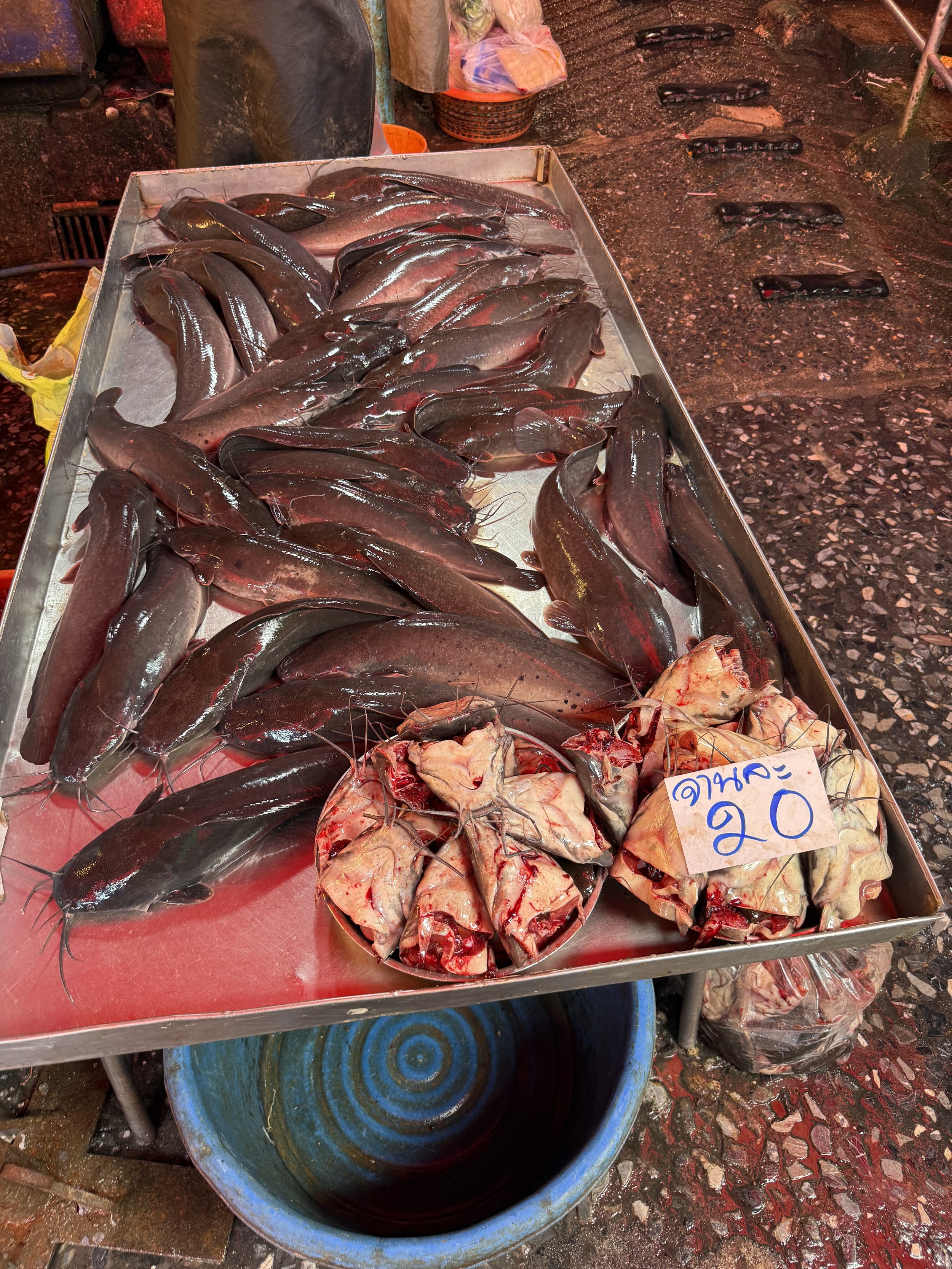 wet market fish.jpg