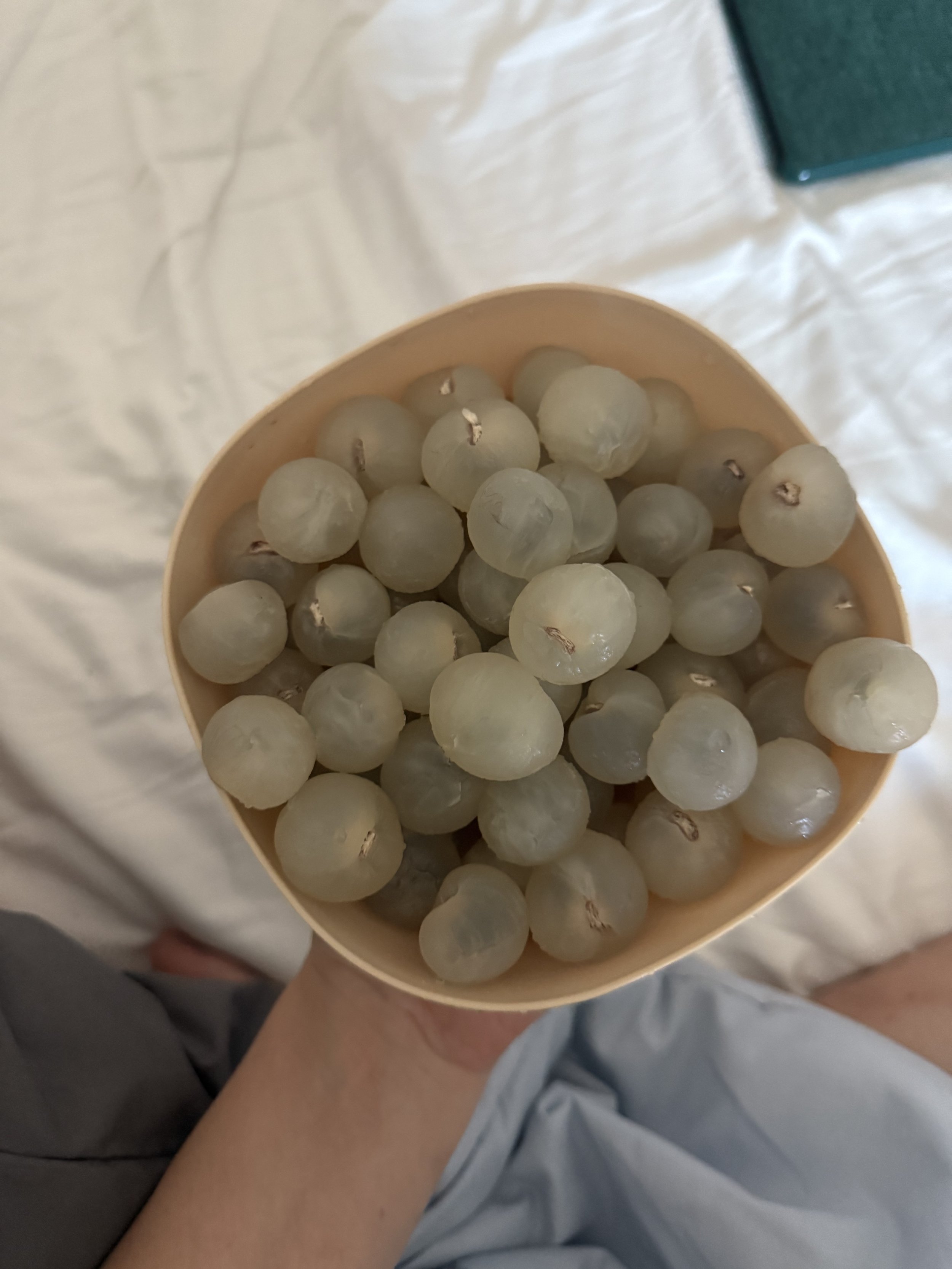 longan.jpg