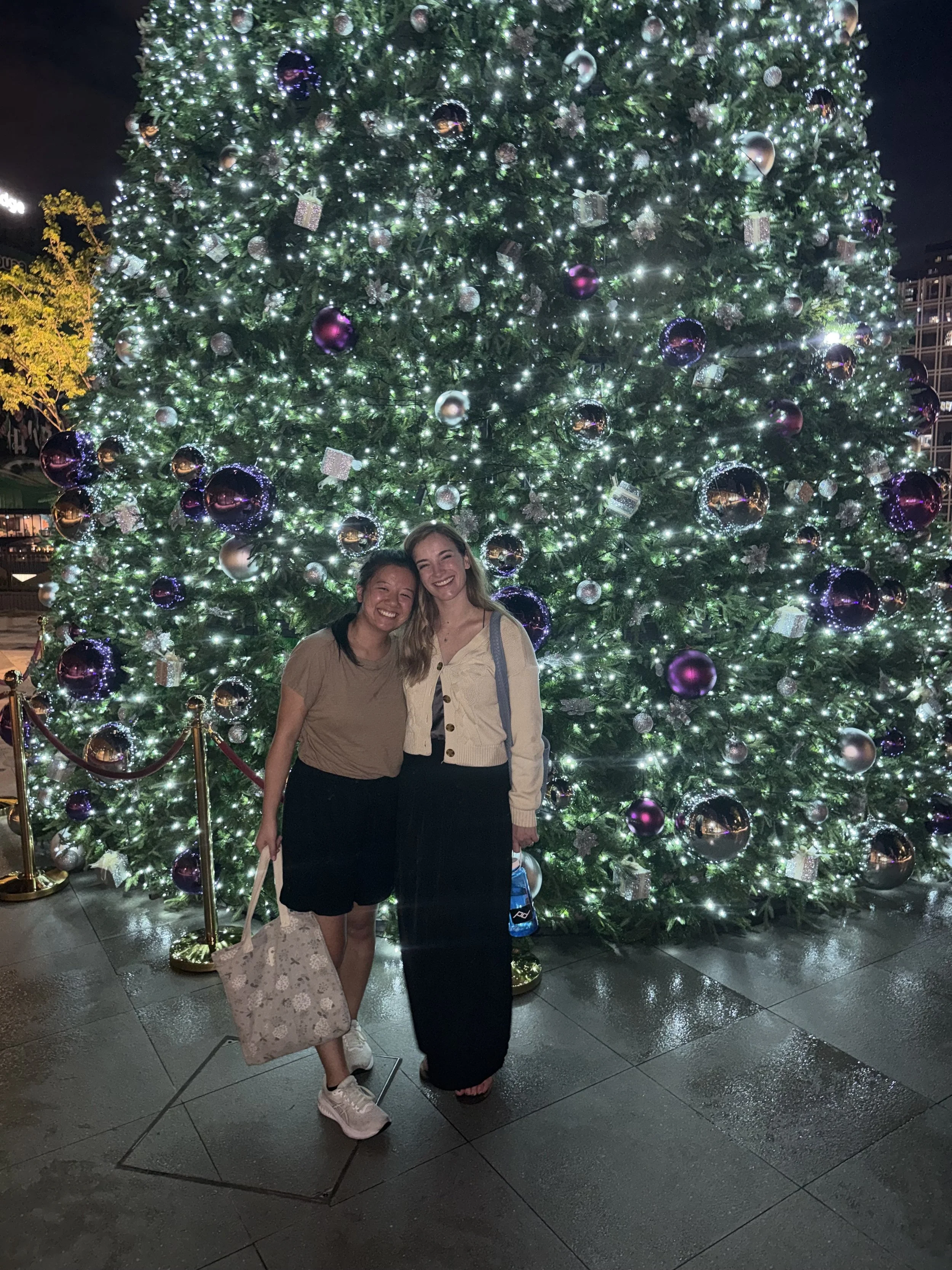 Christmas Mall 2.jpg