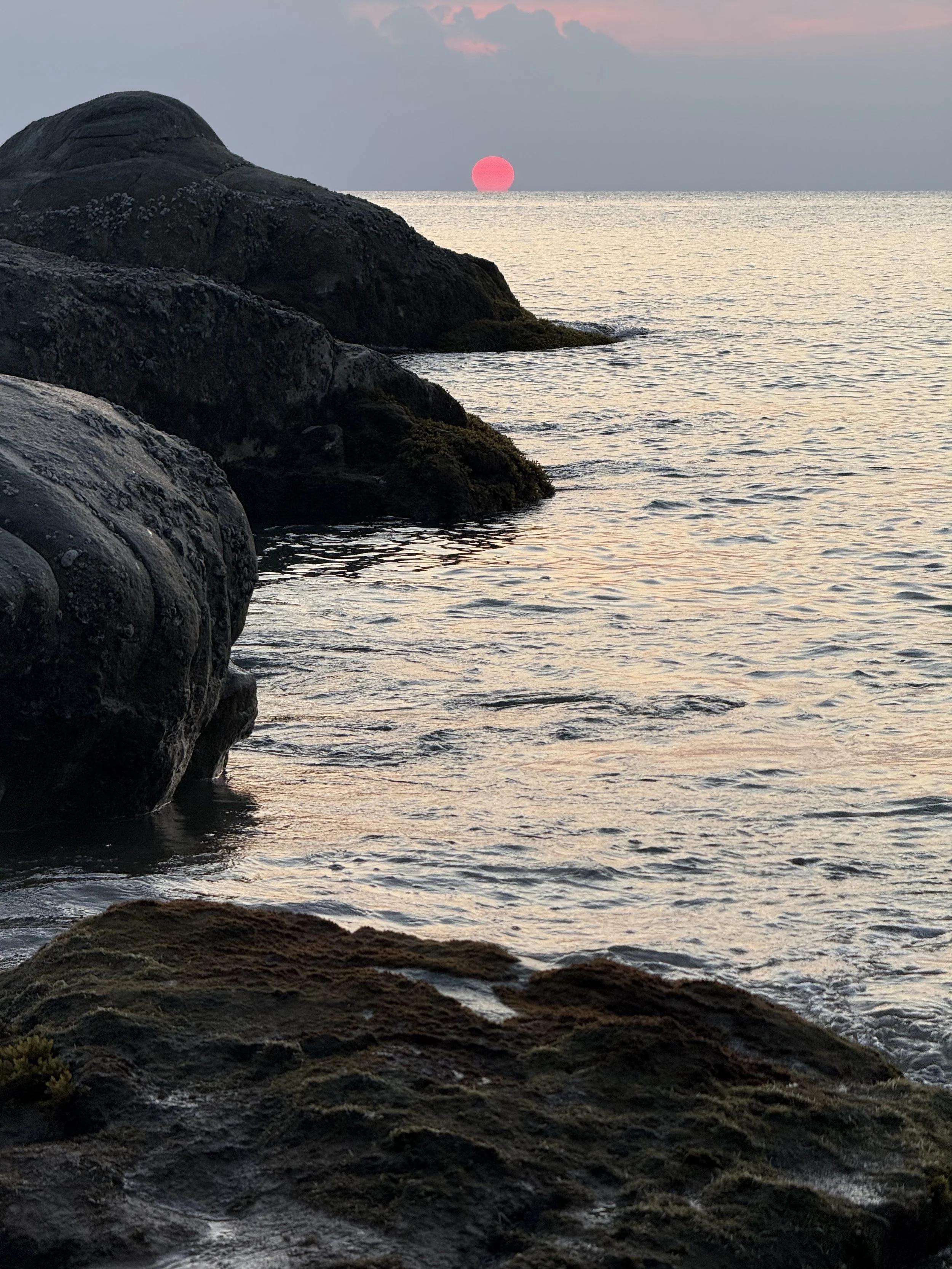 IJM’s Work (Pt. 1)