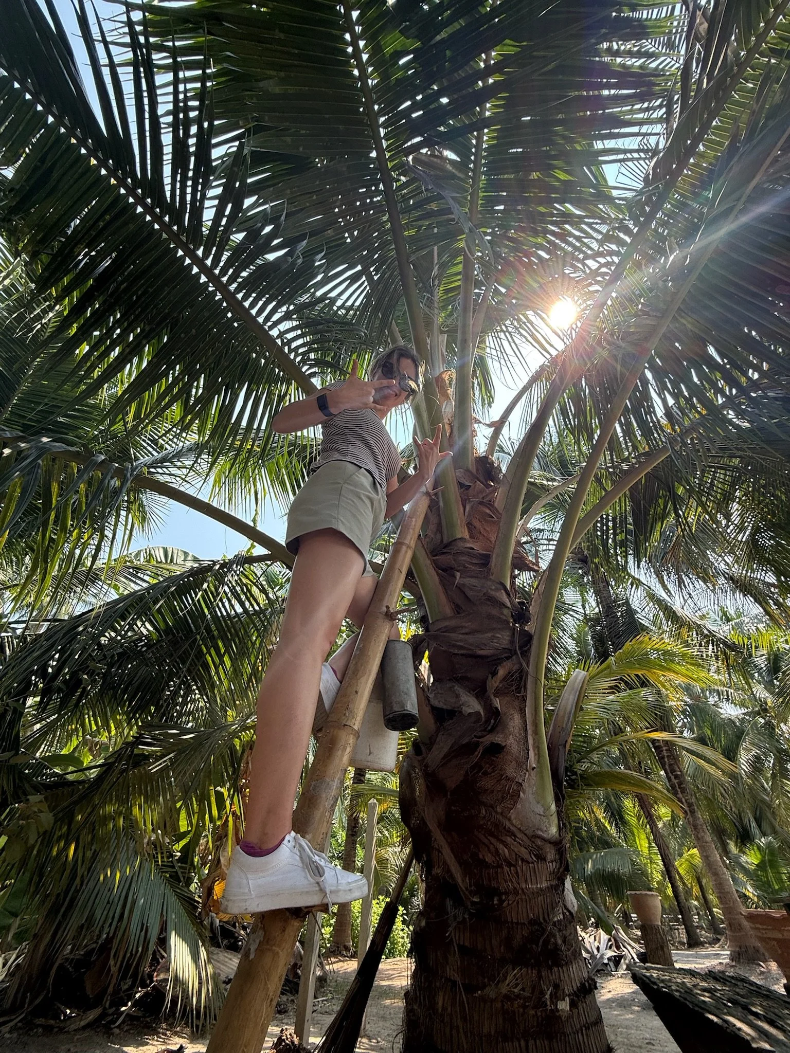 alyssa tree coconut farm.jpeg