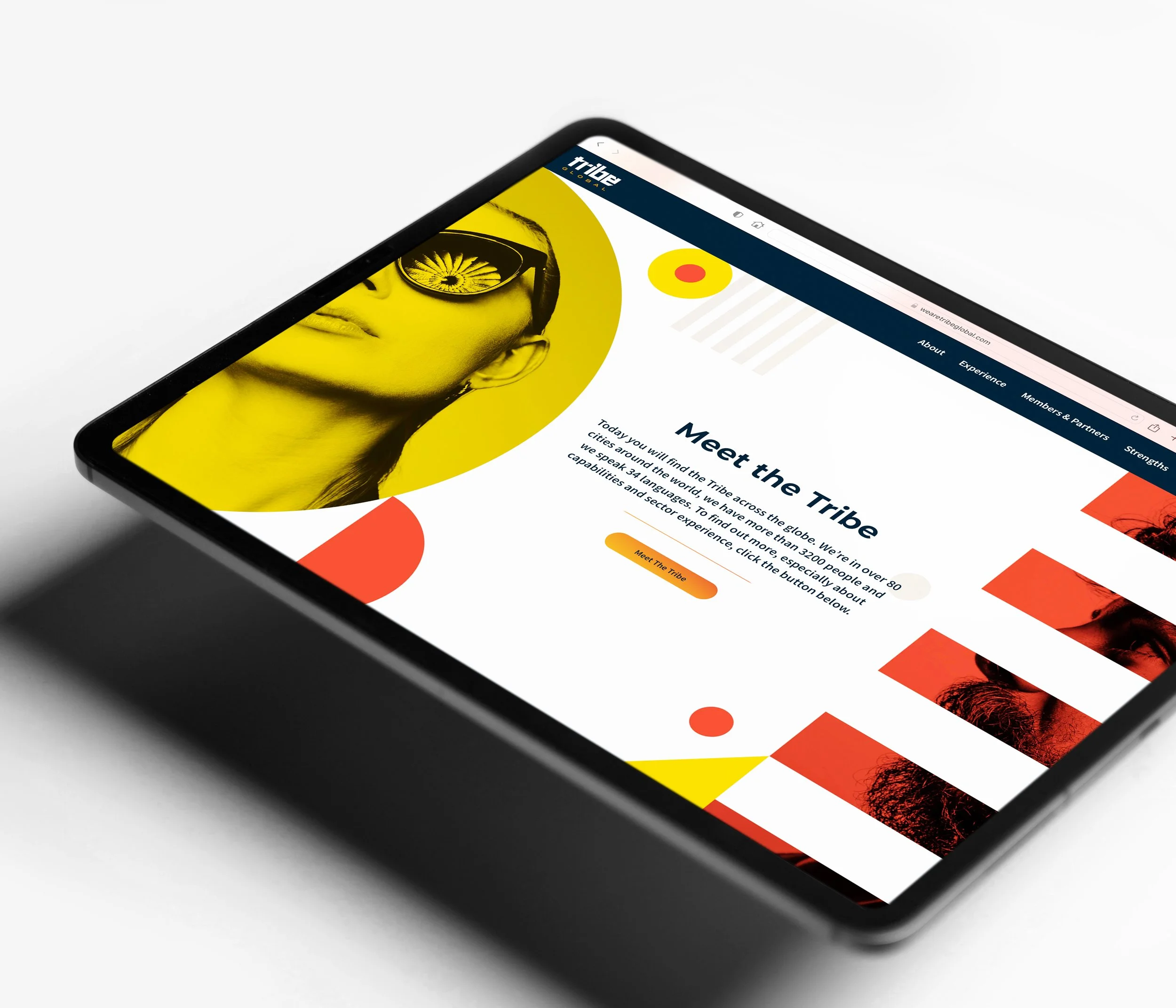 BolinZwieg_Website_TribeGlobal_iPad_Mock.jpg