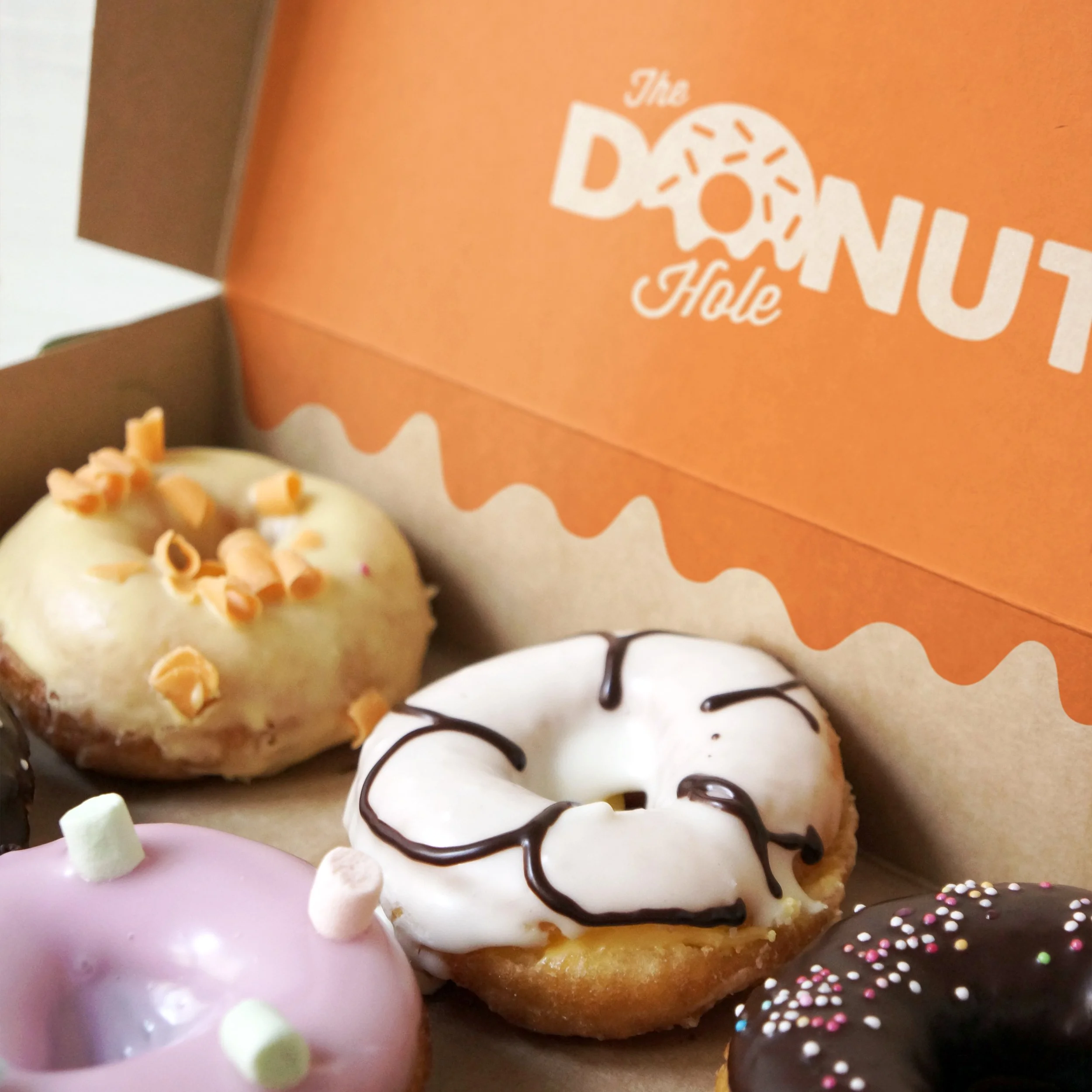 BolinZwieg_TheDonutHole_Portfolio_11.jpg